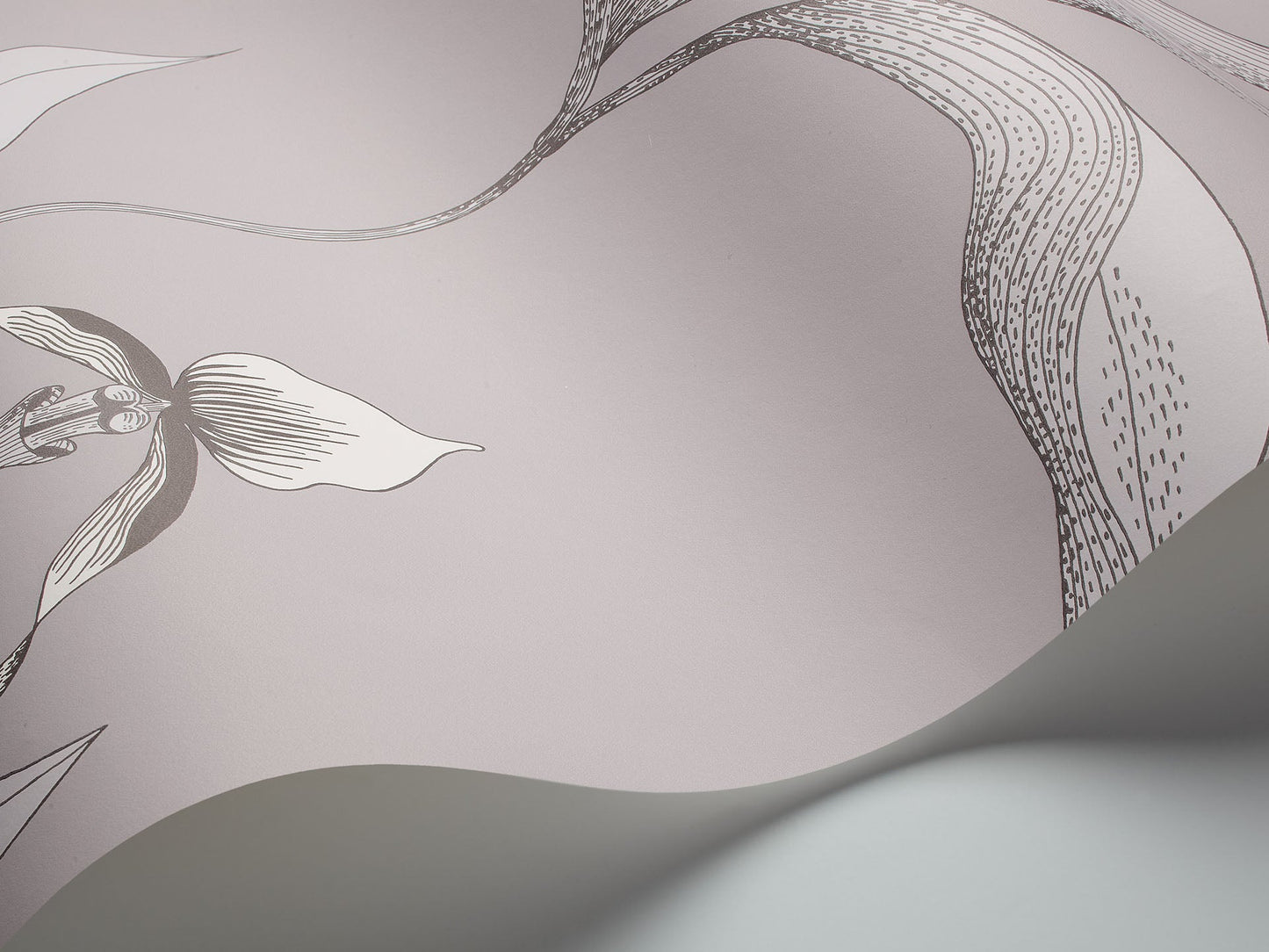 Cole & Son Orchid - interior