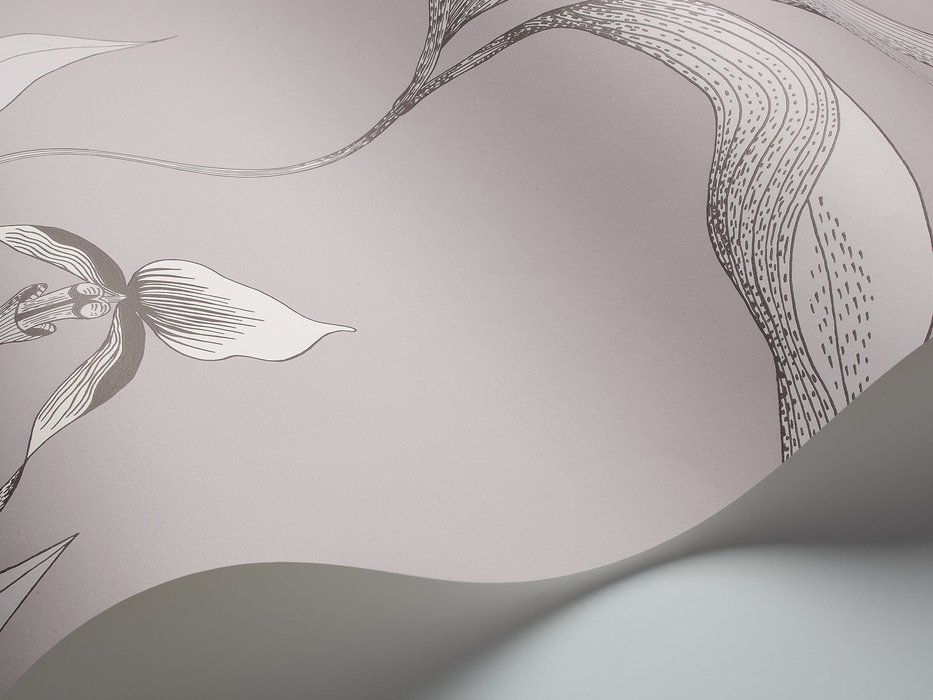 Cole & Son Orchid - interior