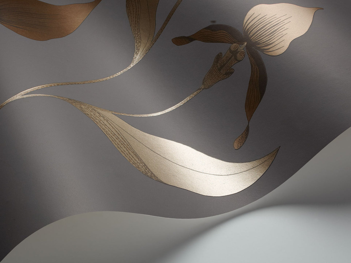 Cole & Son Orchid - interior