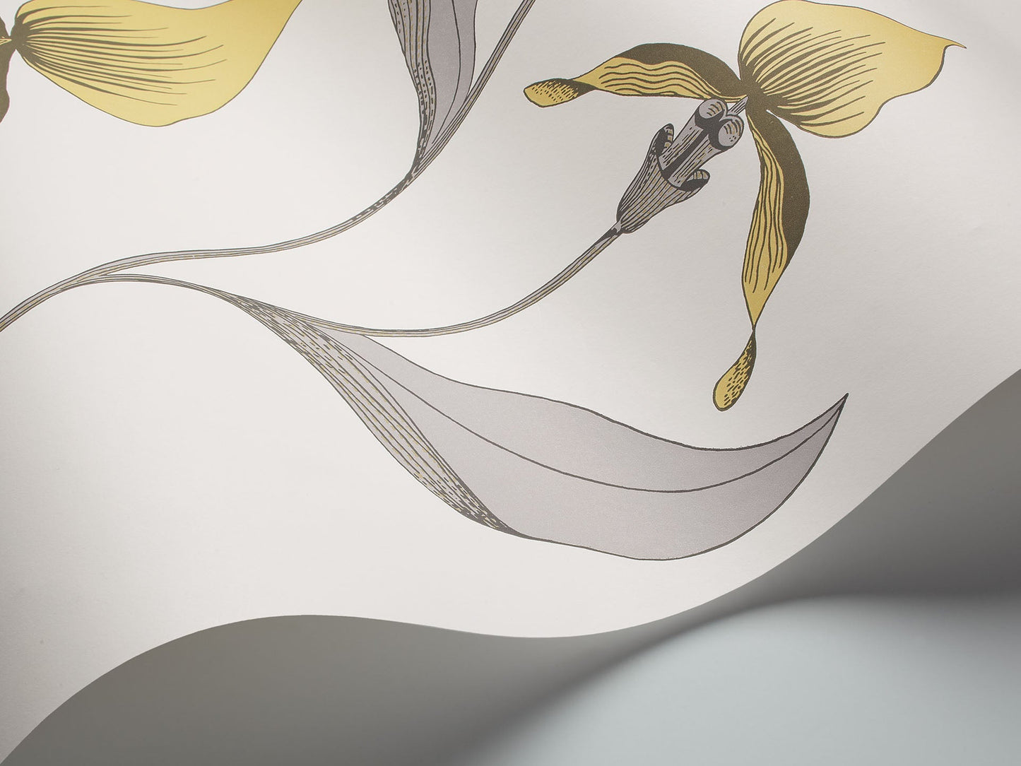 Cole & Son Orchid - interior