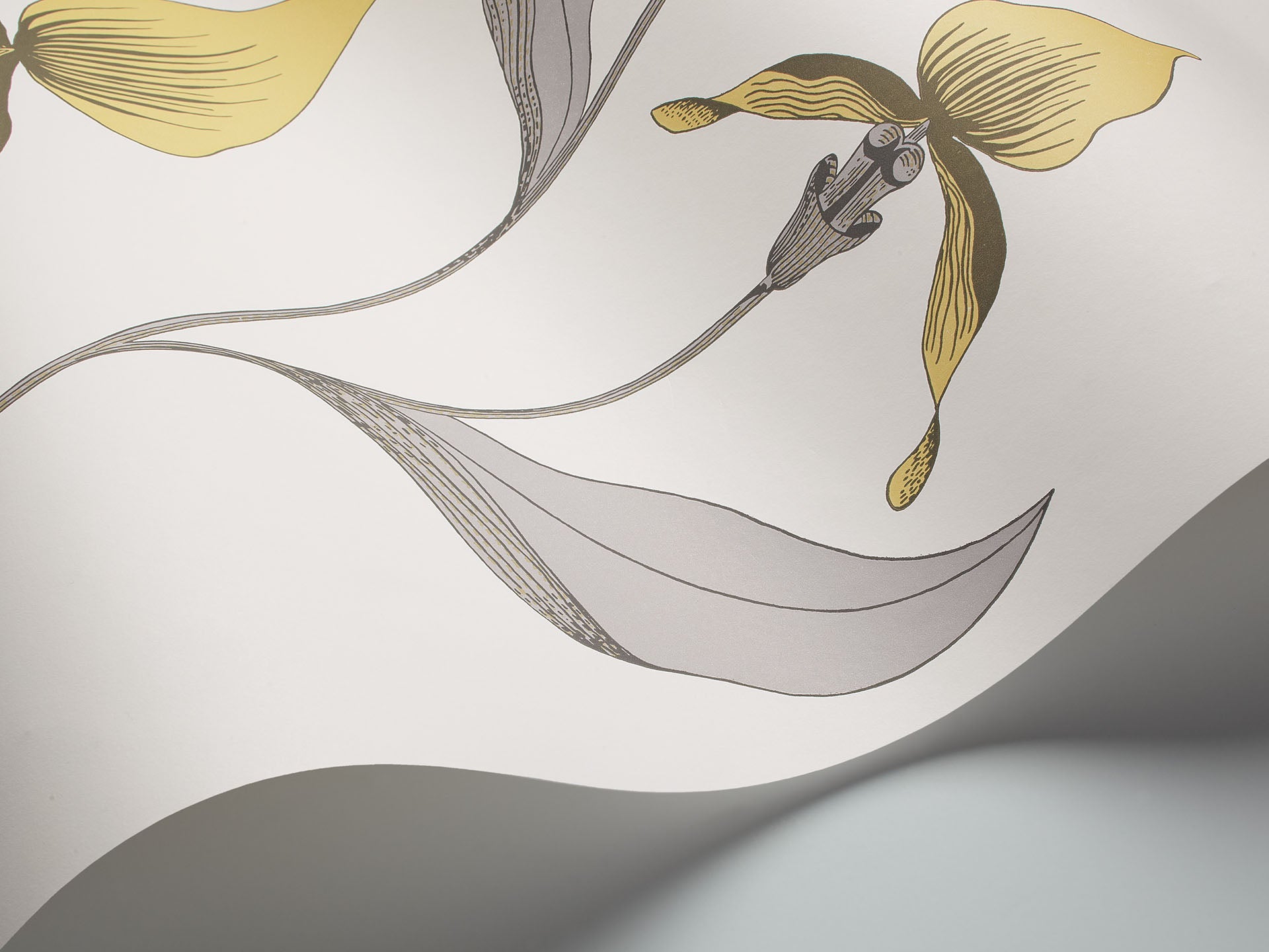Cole & Son Orchid - interior