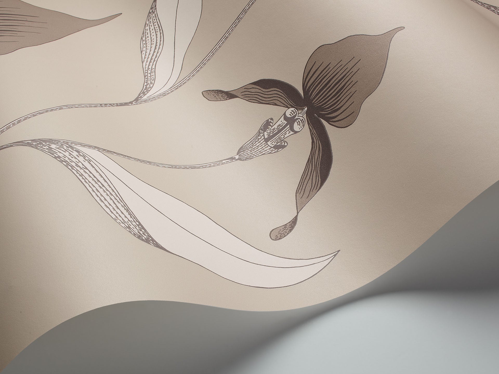Cole & Son Orchid - interior