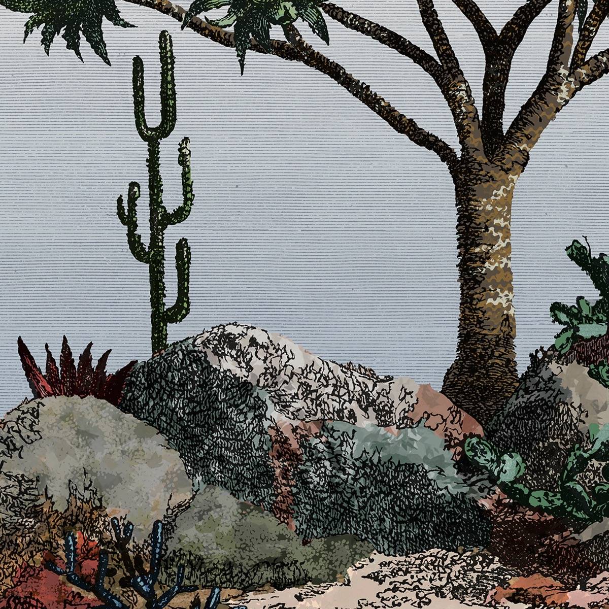 Yucca - PAN210