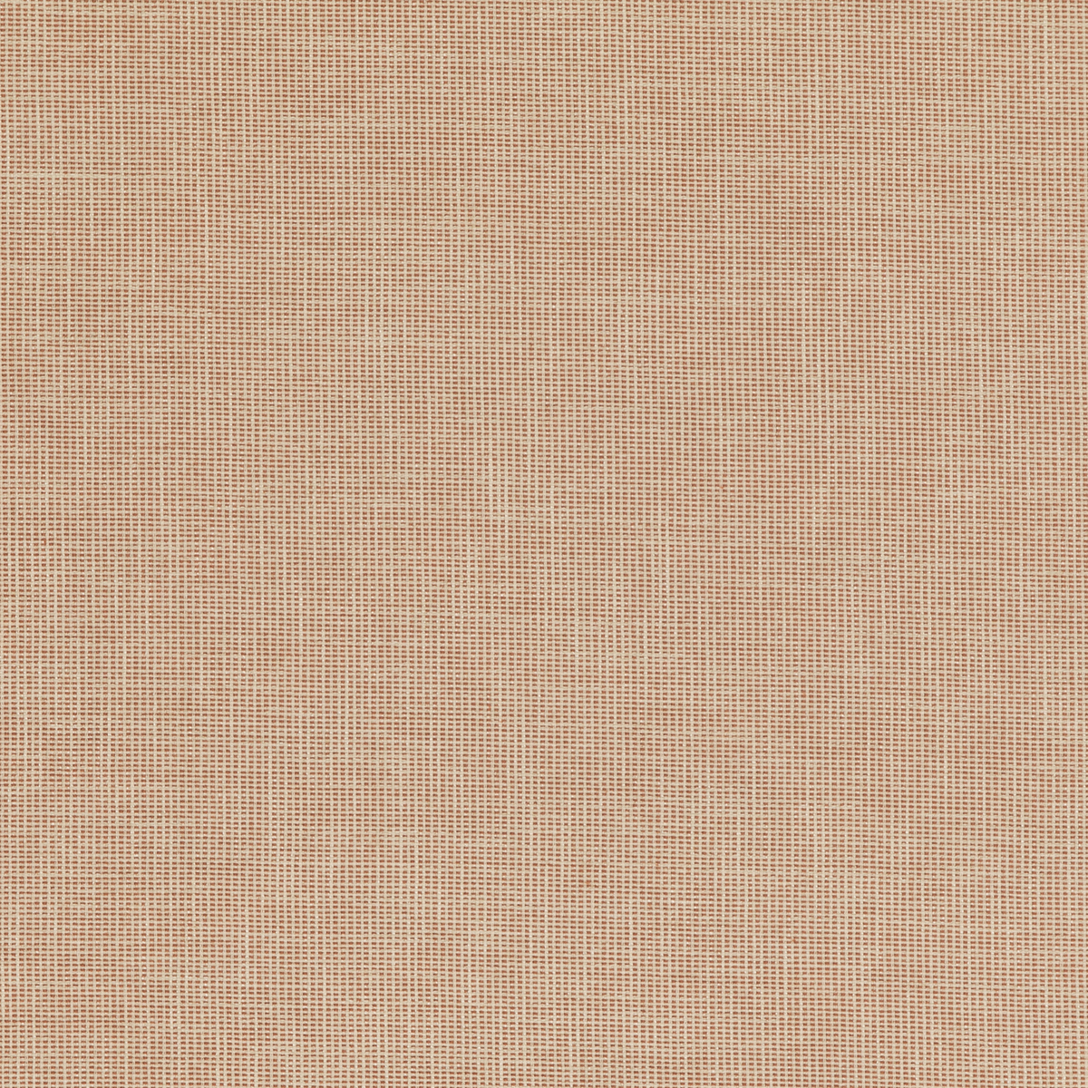 Baker Lifestyle | Folly fabric - Spice