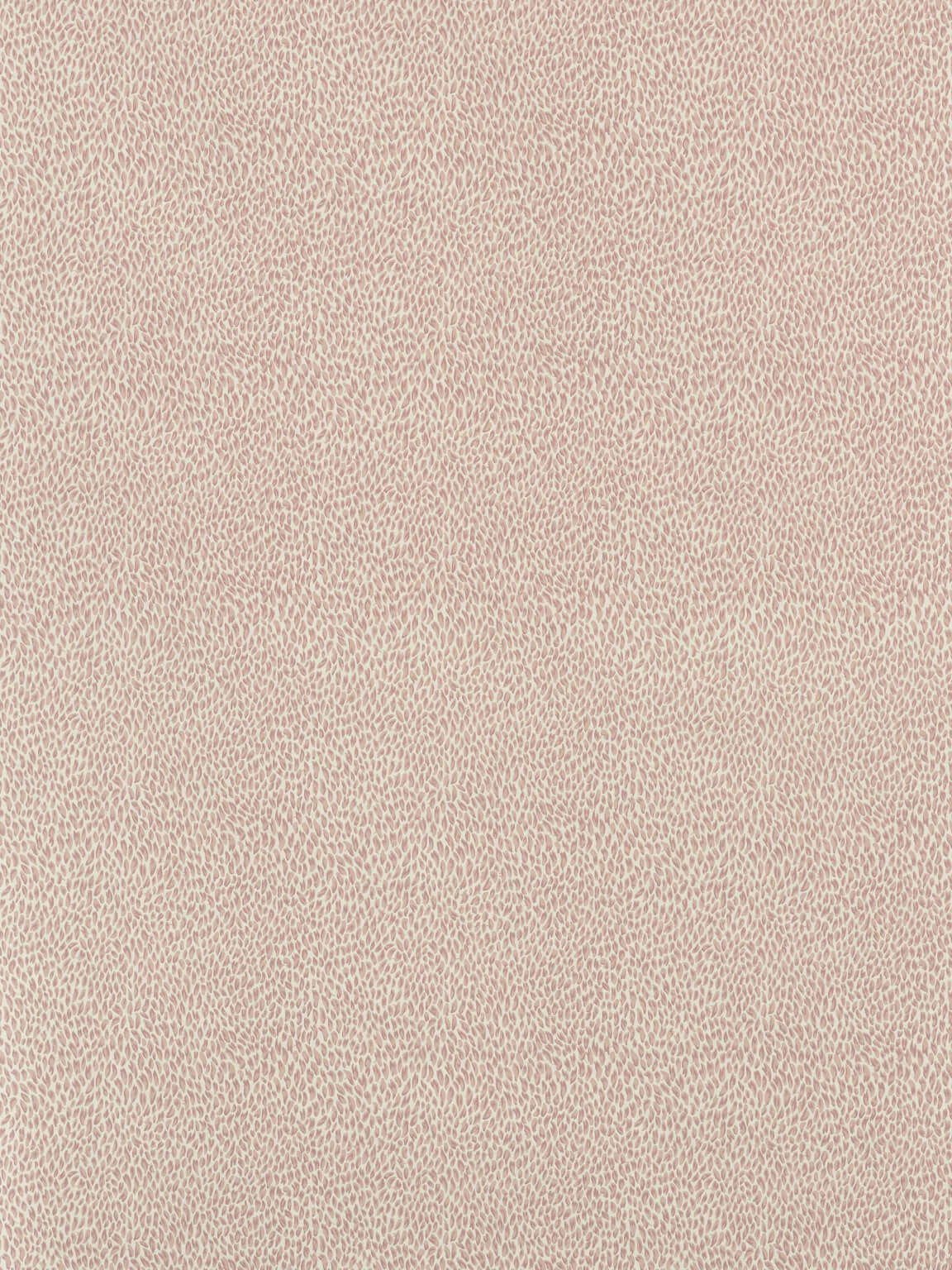 Pierre Frey Plumettes - Rose