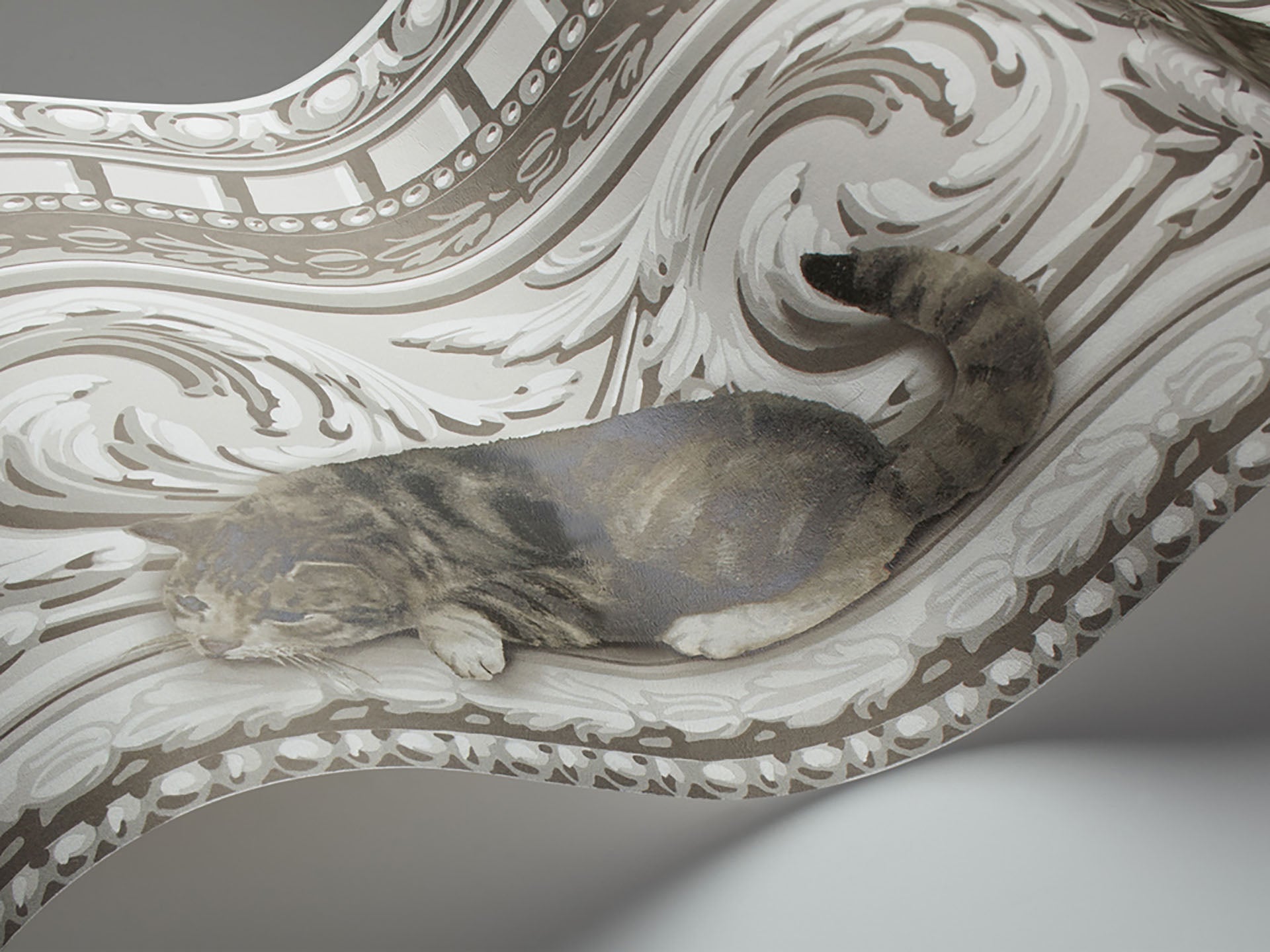 Cole & Son Paddy & Louis Border - interior