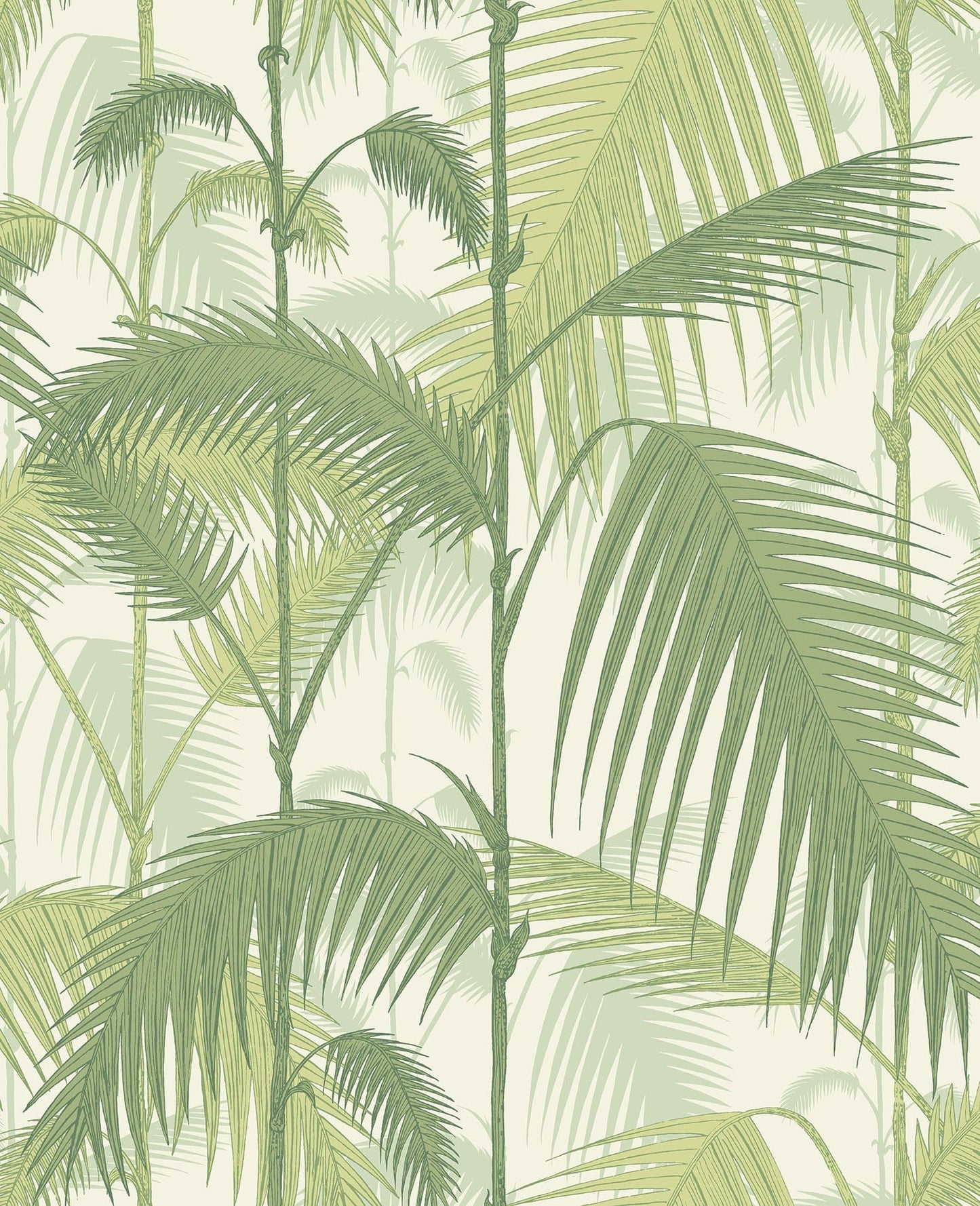 Cole & Son Palm Jungle wallpaper - Olive Green on White