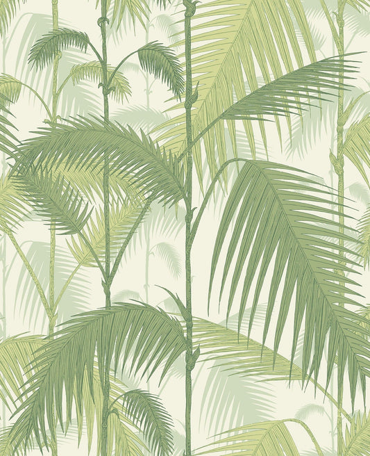 Cole & Son Palm Jungle wallpaper - Olive Green on White