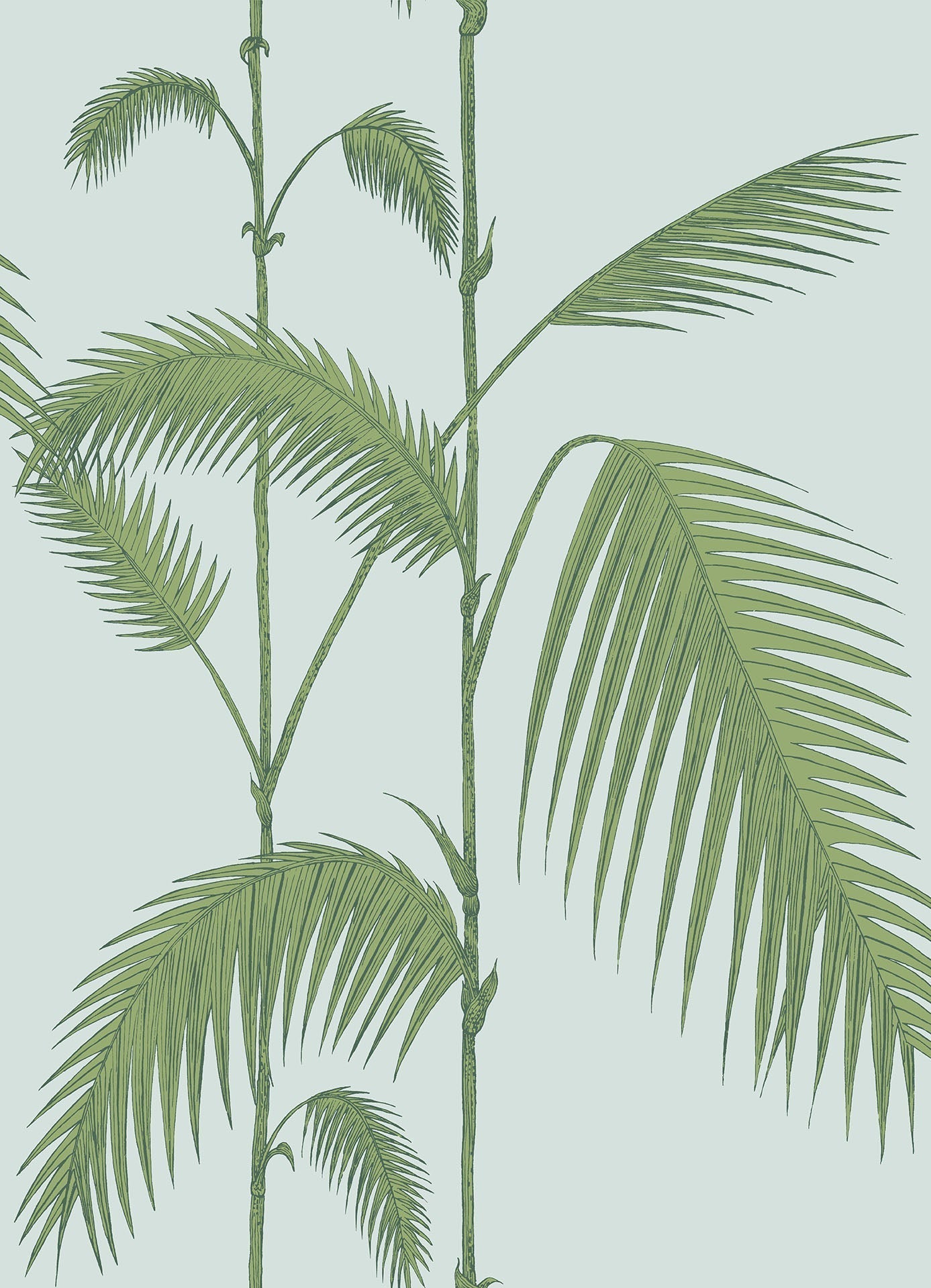 Cole & Son Palm Leaves wallpaper - Leaf Green on Sea Foam