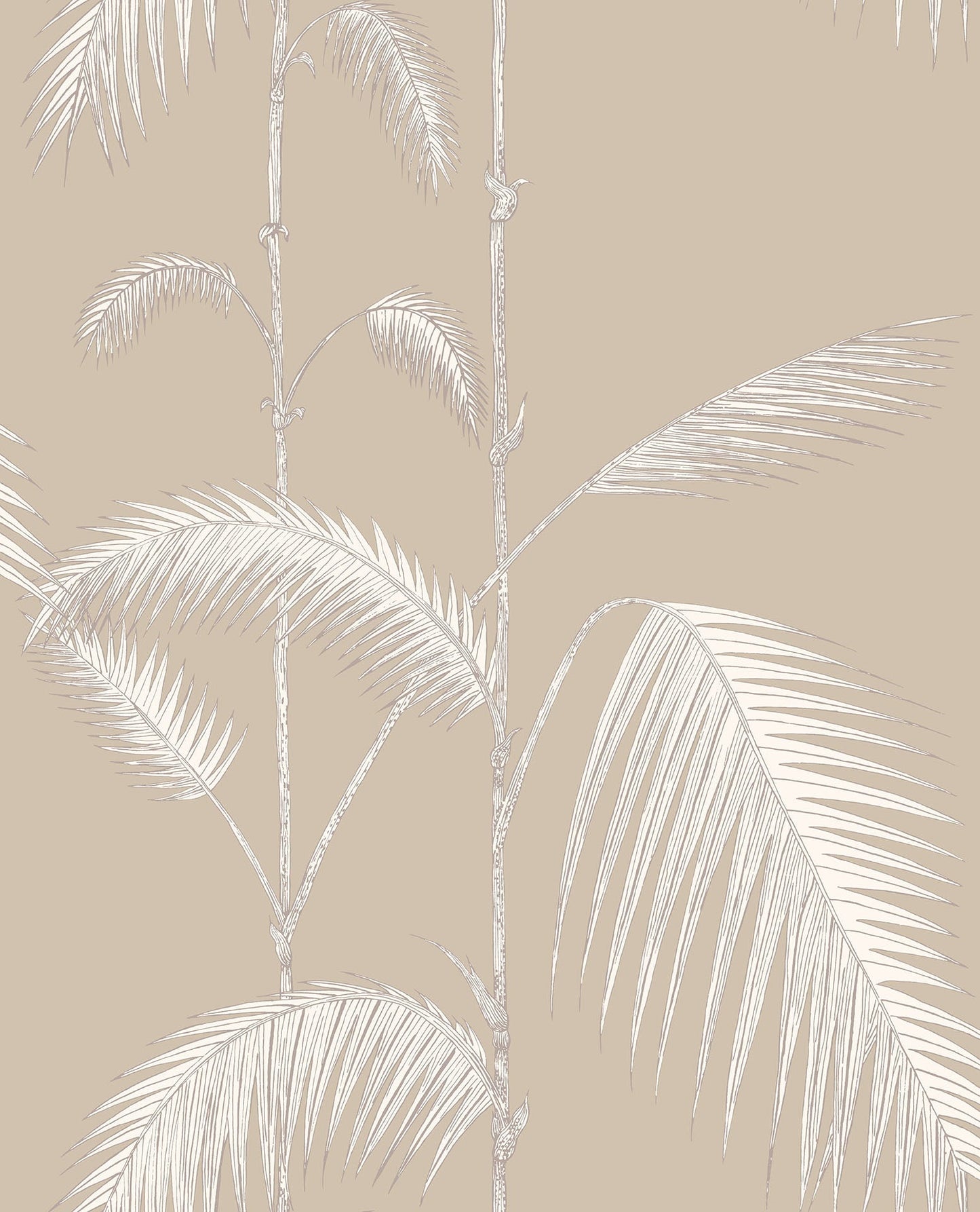 Cole & Son Palm Leaves - Cream on Linen