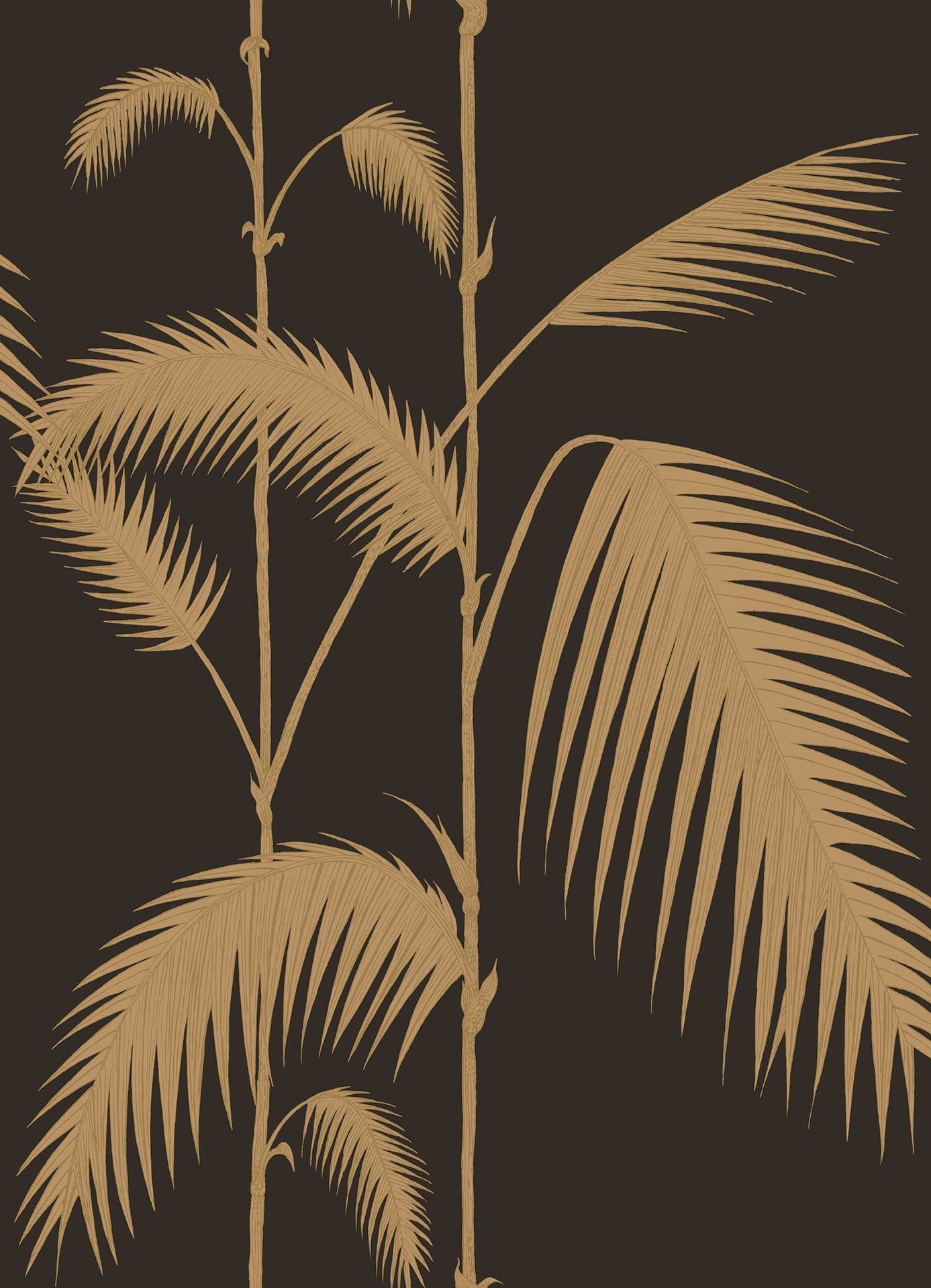 Cole & Son Palm Leaves - Gold on Charcoal