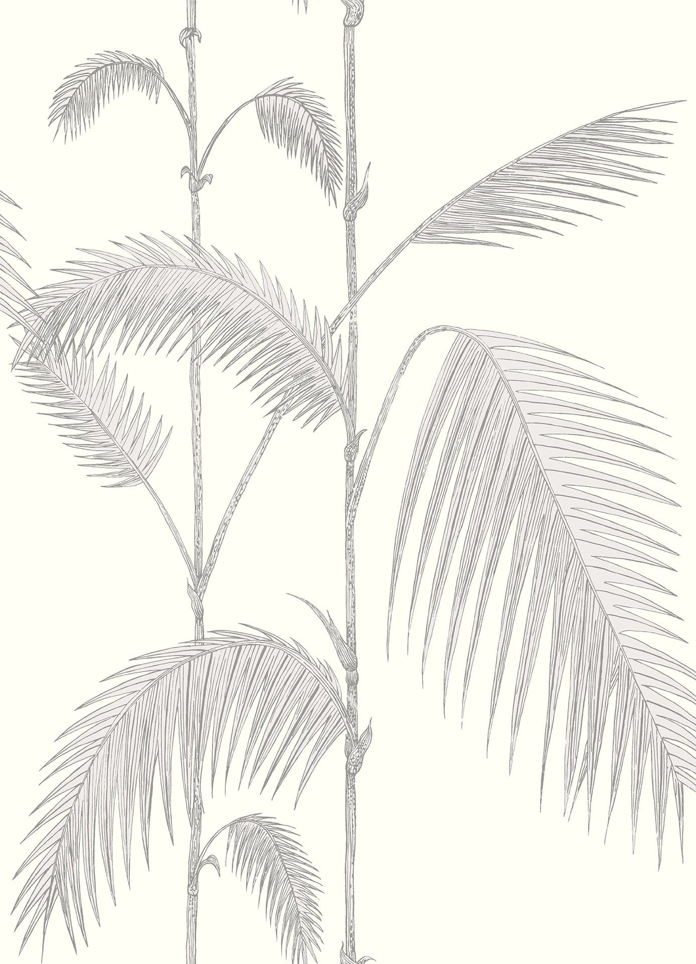 Cole & Son Palm Leaves - Soft Grey on Pearl