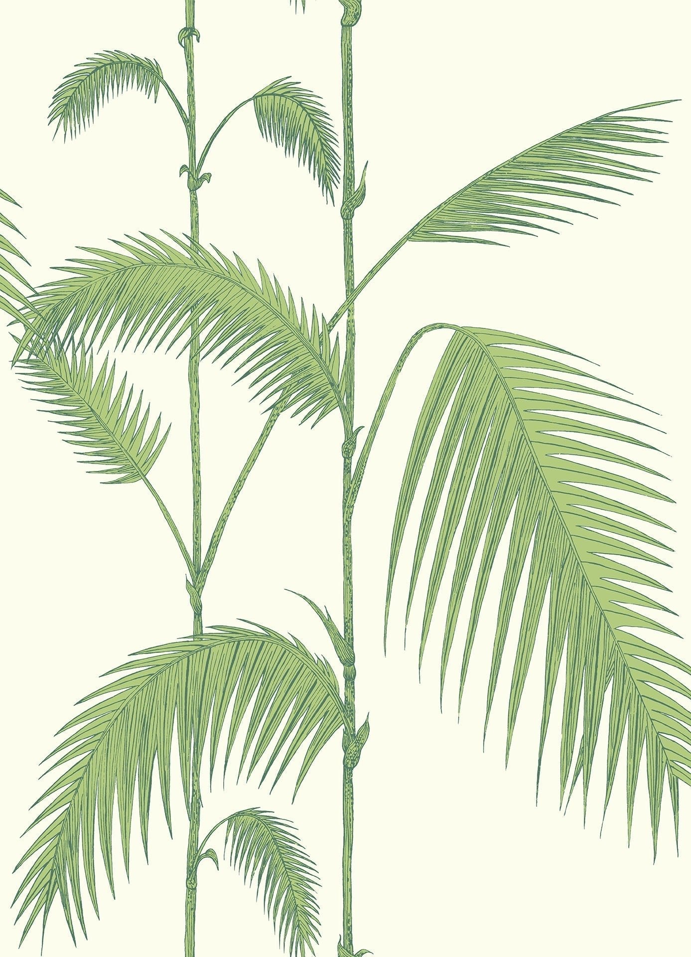 Cole & Son Palm Leaves - Olive Green on White