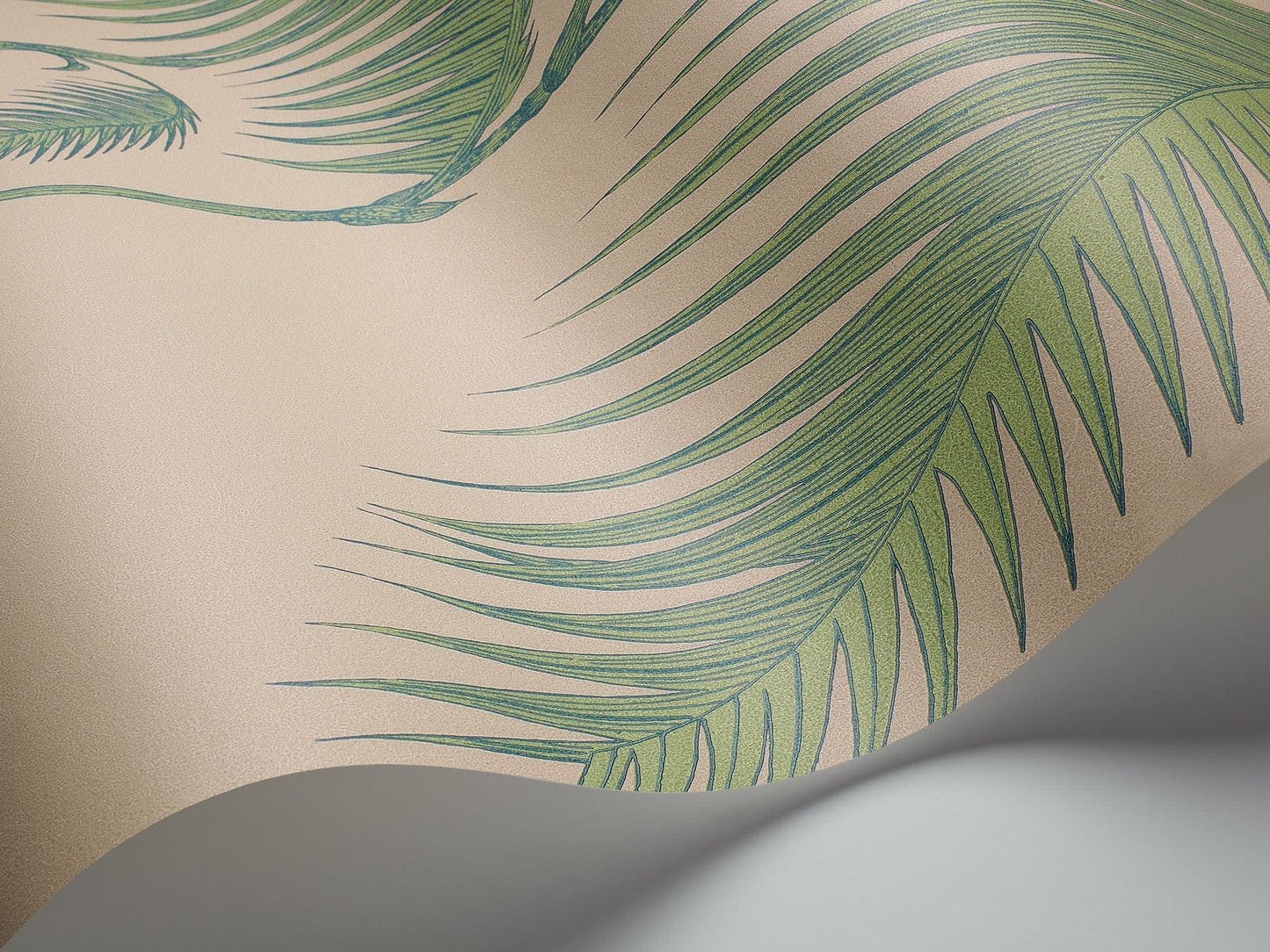 Cole & Son Palm Leaves - interior