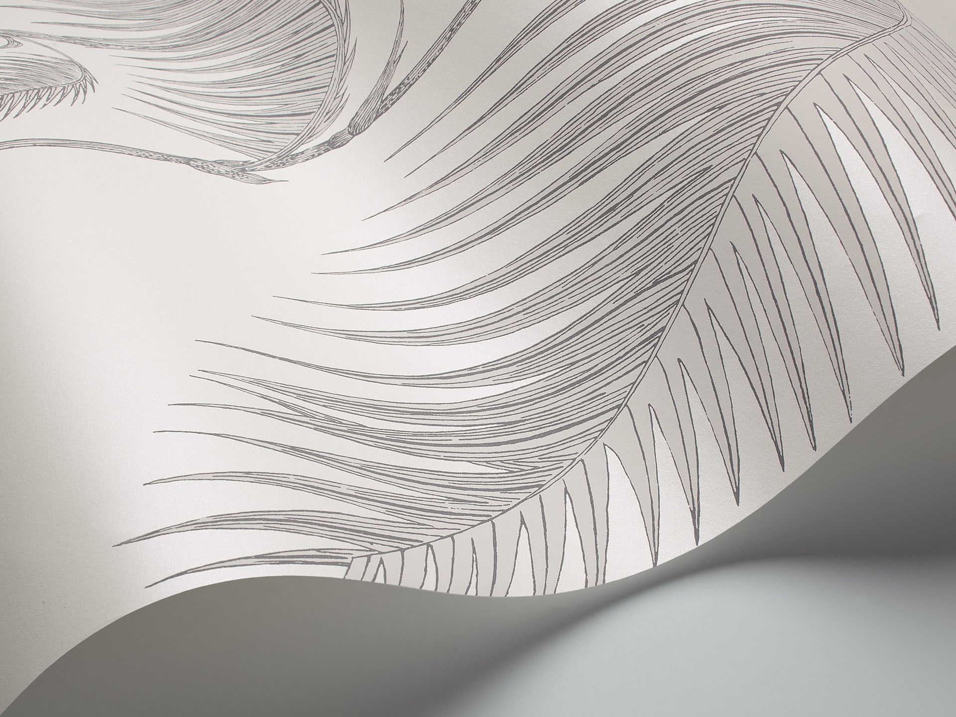 Cole & Son Palm Leaves - interior