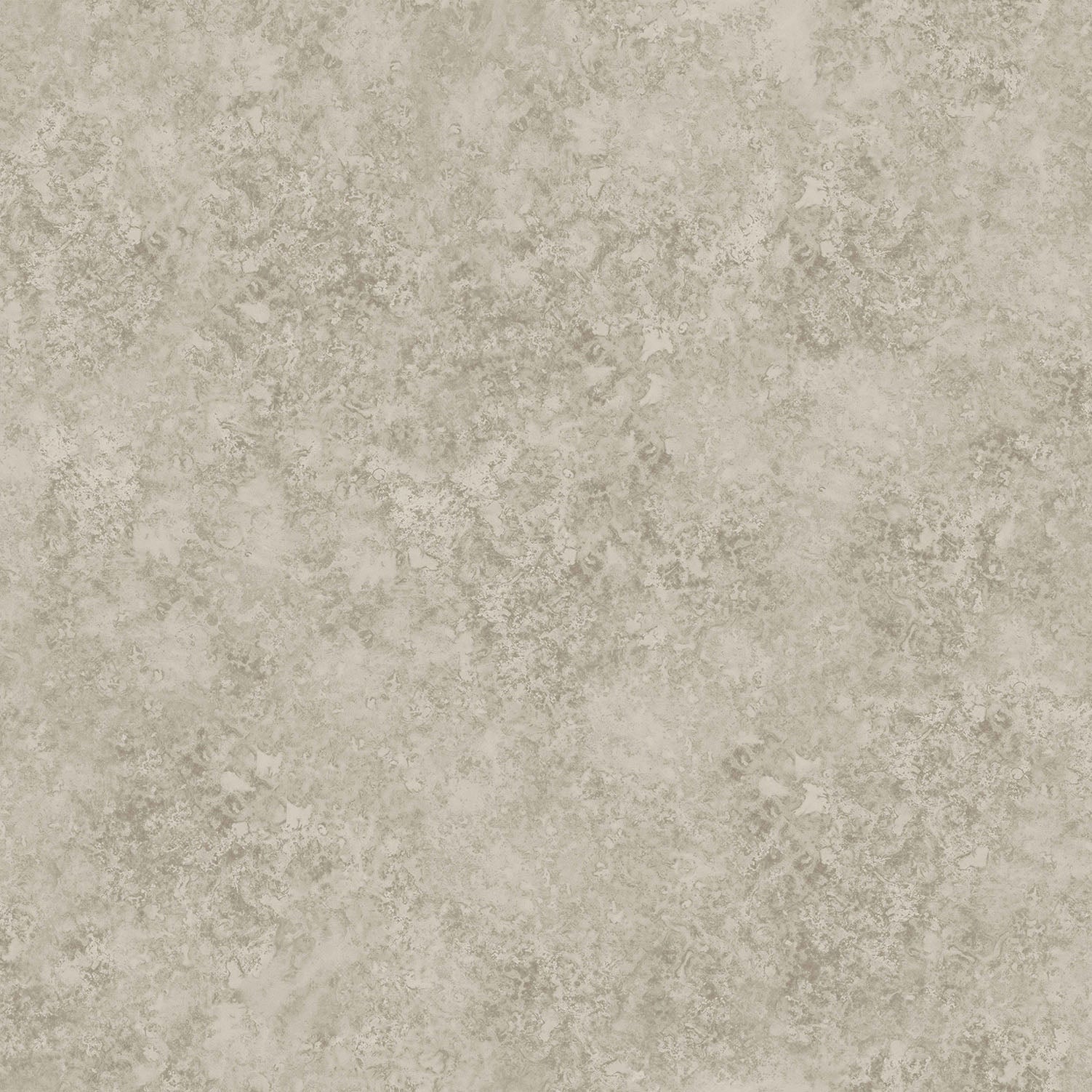 Cole & Son Patina Haze - Warm Metallic Gilver