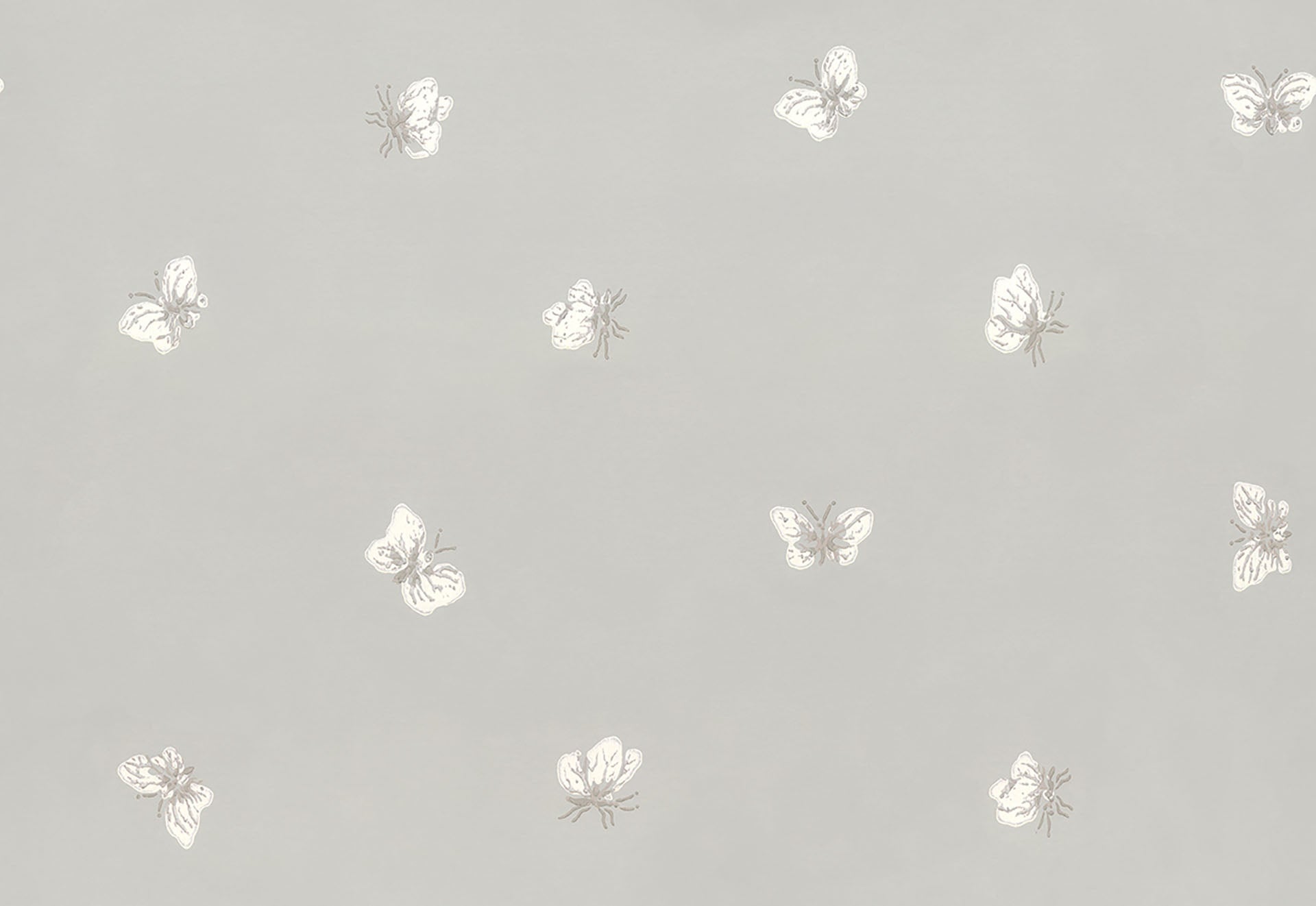 Cole & Son Peaseblossom - White on Stone