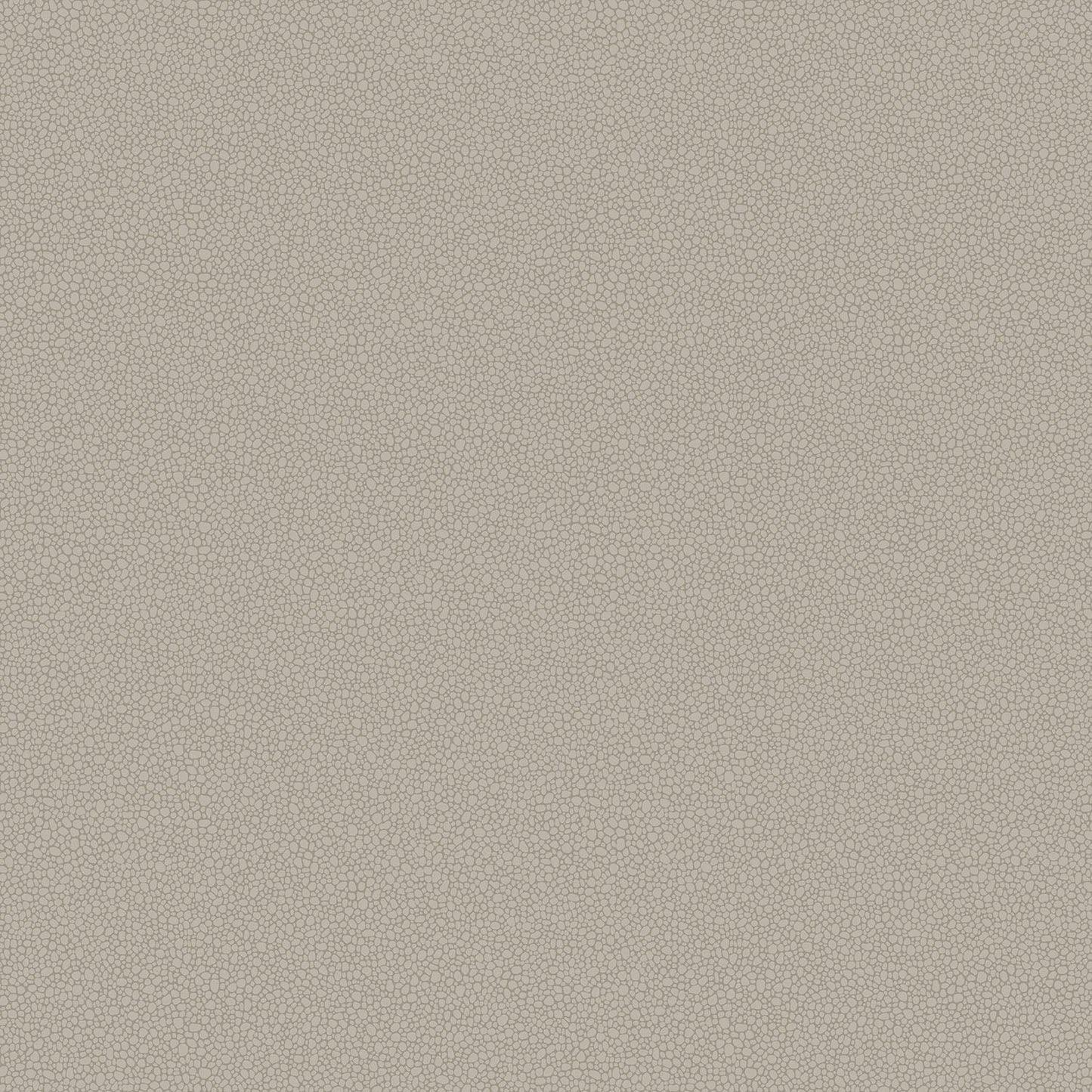 Cole & Son Pebble - Shell