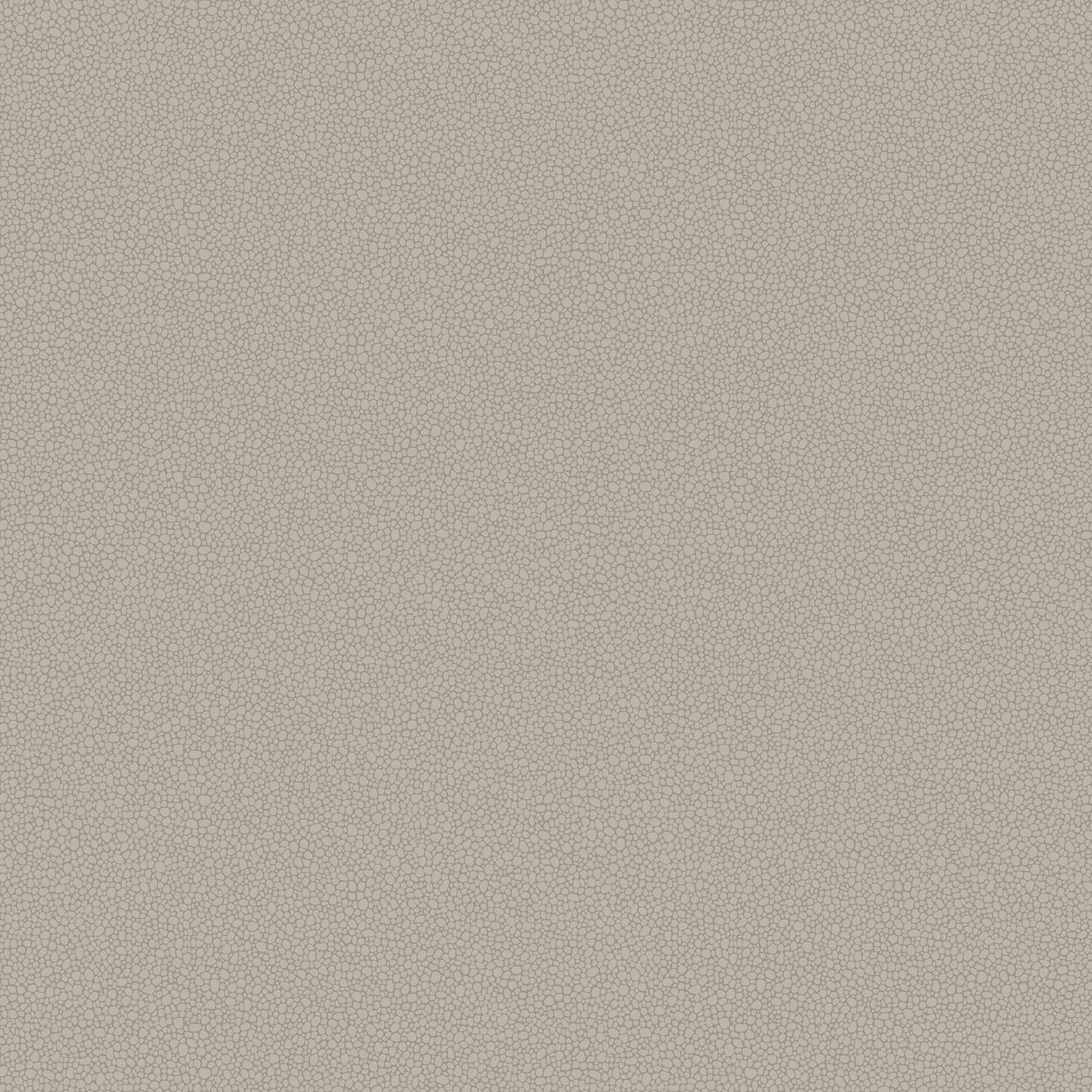 Cole & Son Pebble - Shell