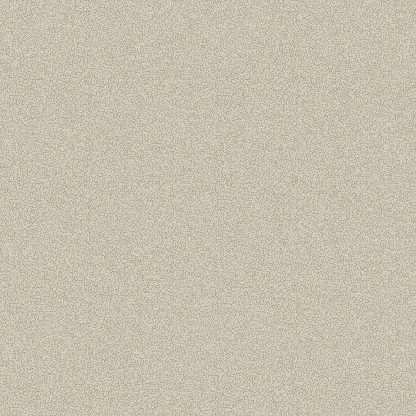 Cole & Son Pebble - Safari