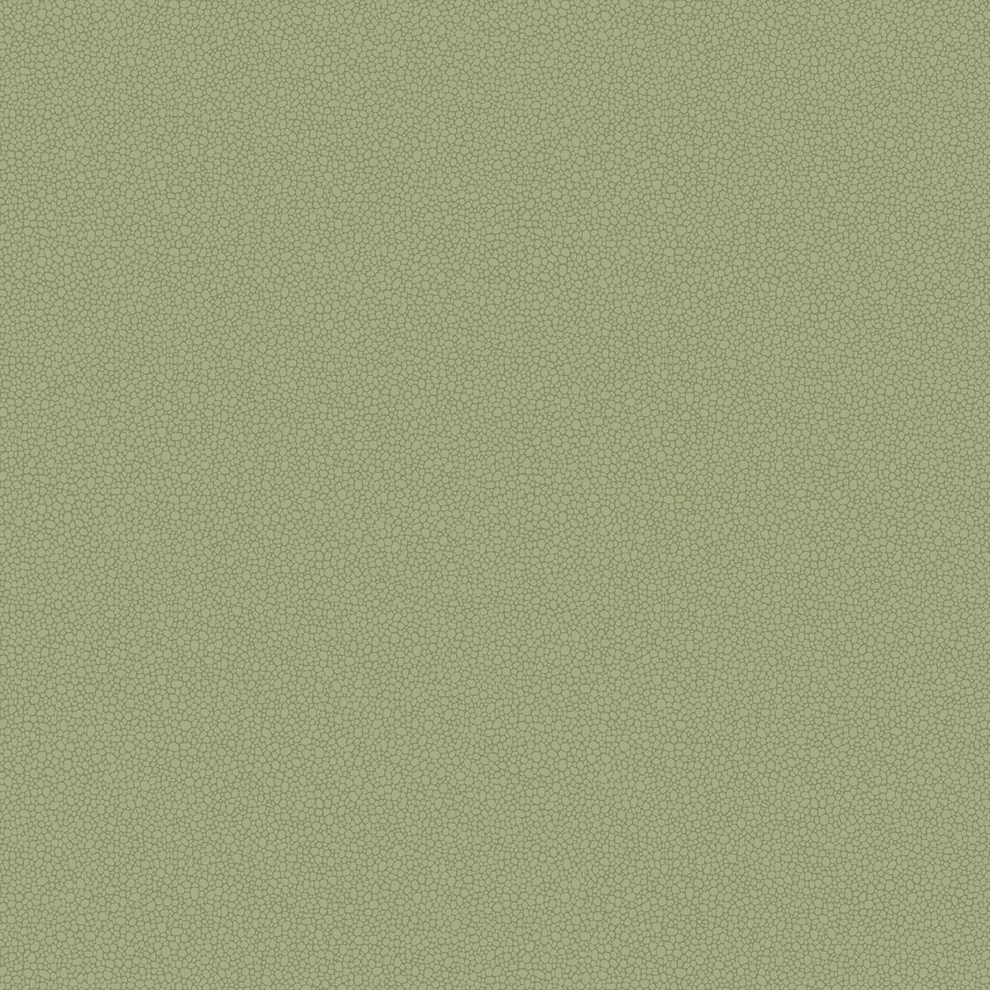 Cole & Son Pebble - Old Olive