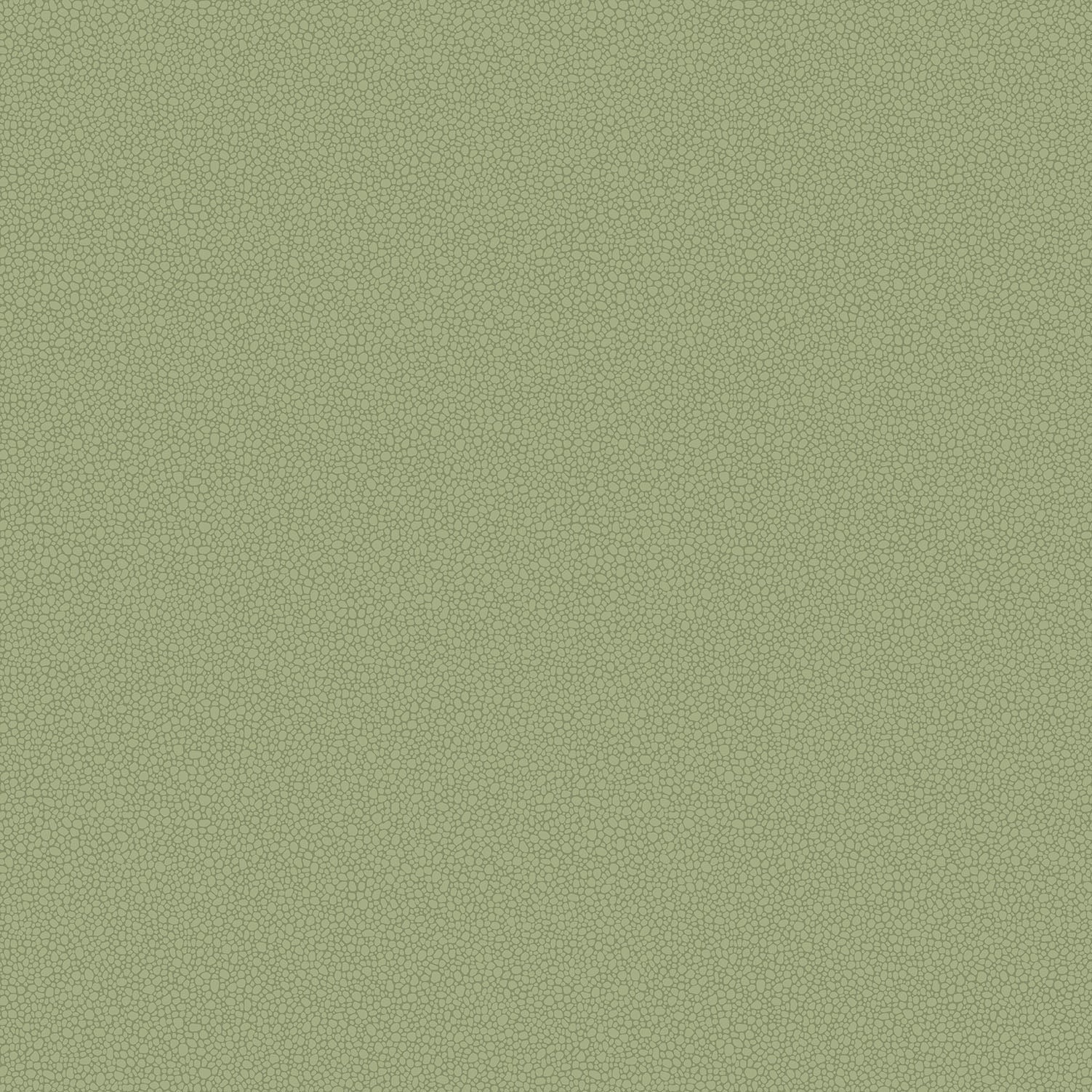 Cole & Son Pebble - Old Olive