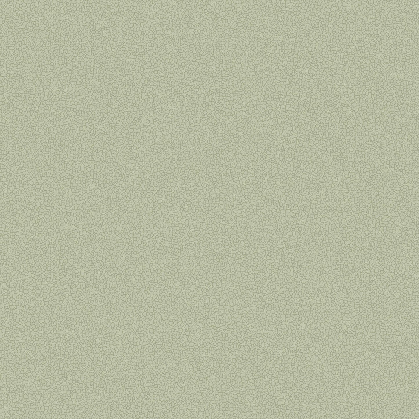 Cole & Son Pebble - Soft Olive