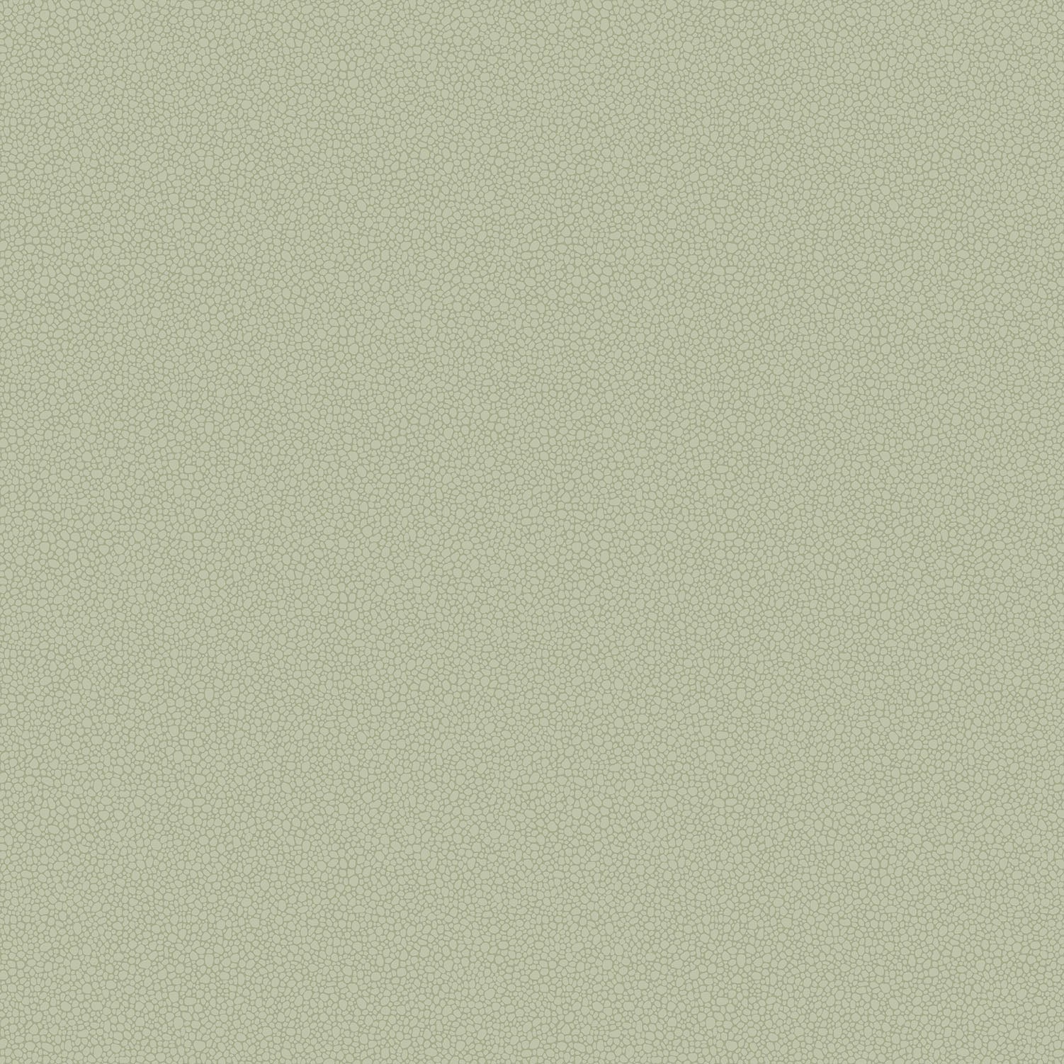 Cole & Son Pebble - Soft Olive