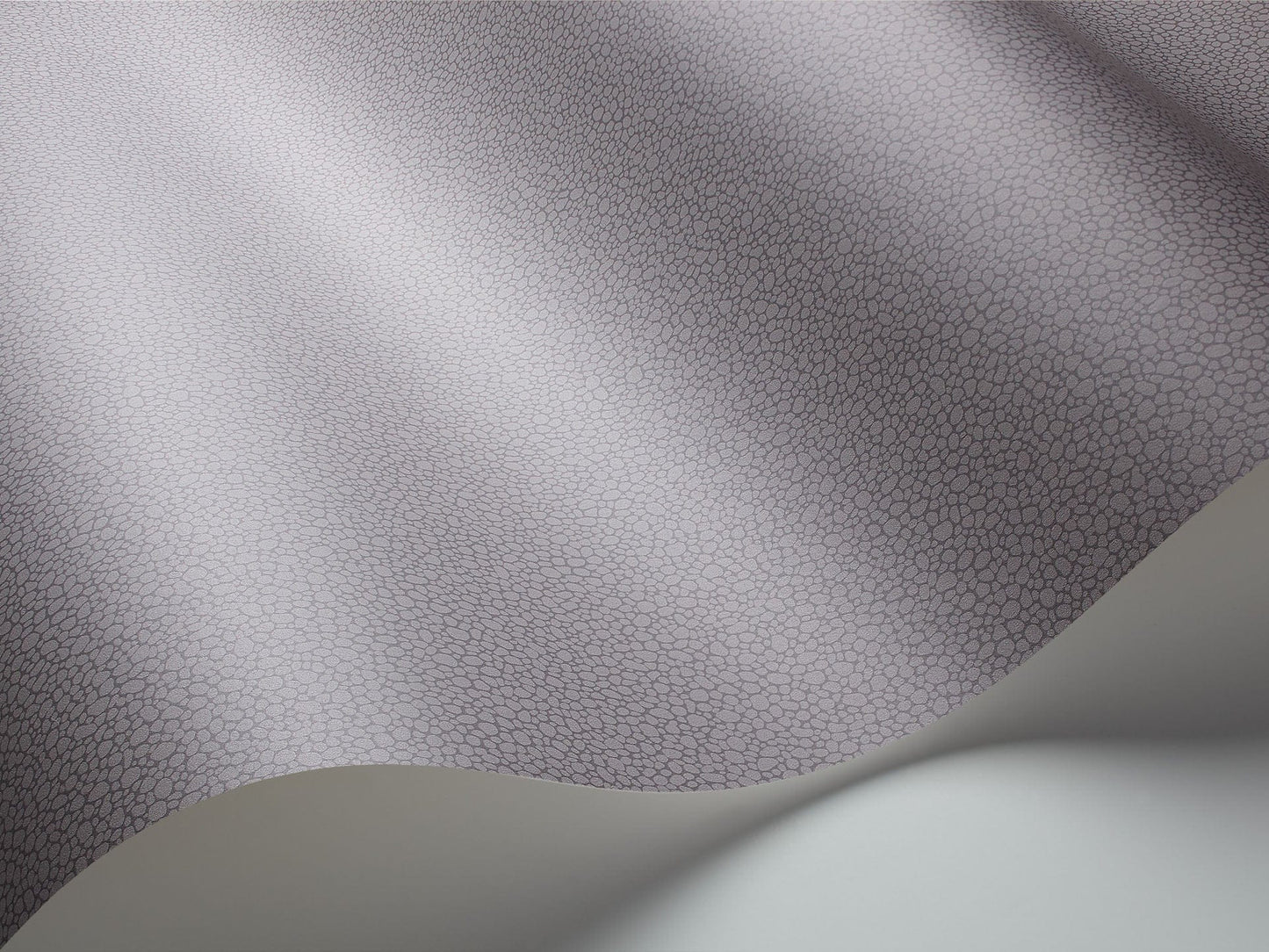Cole & Son Pebble - interior