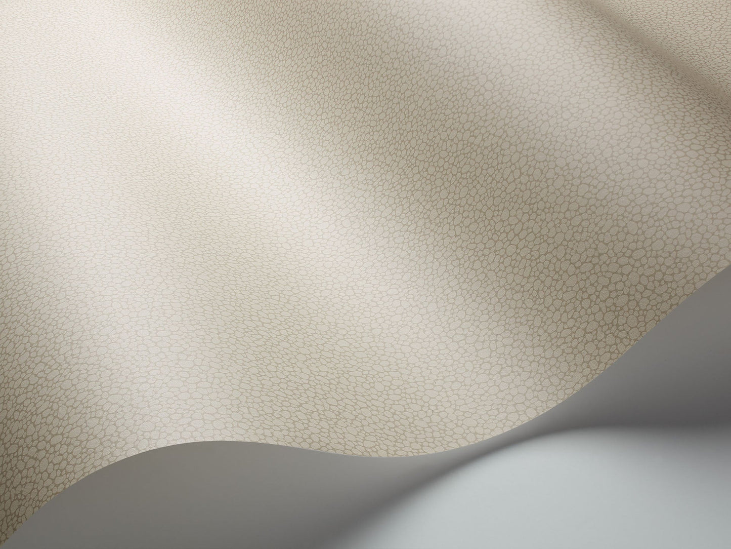 Cole & Son Pebble - interior
