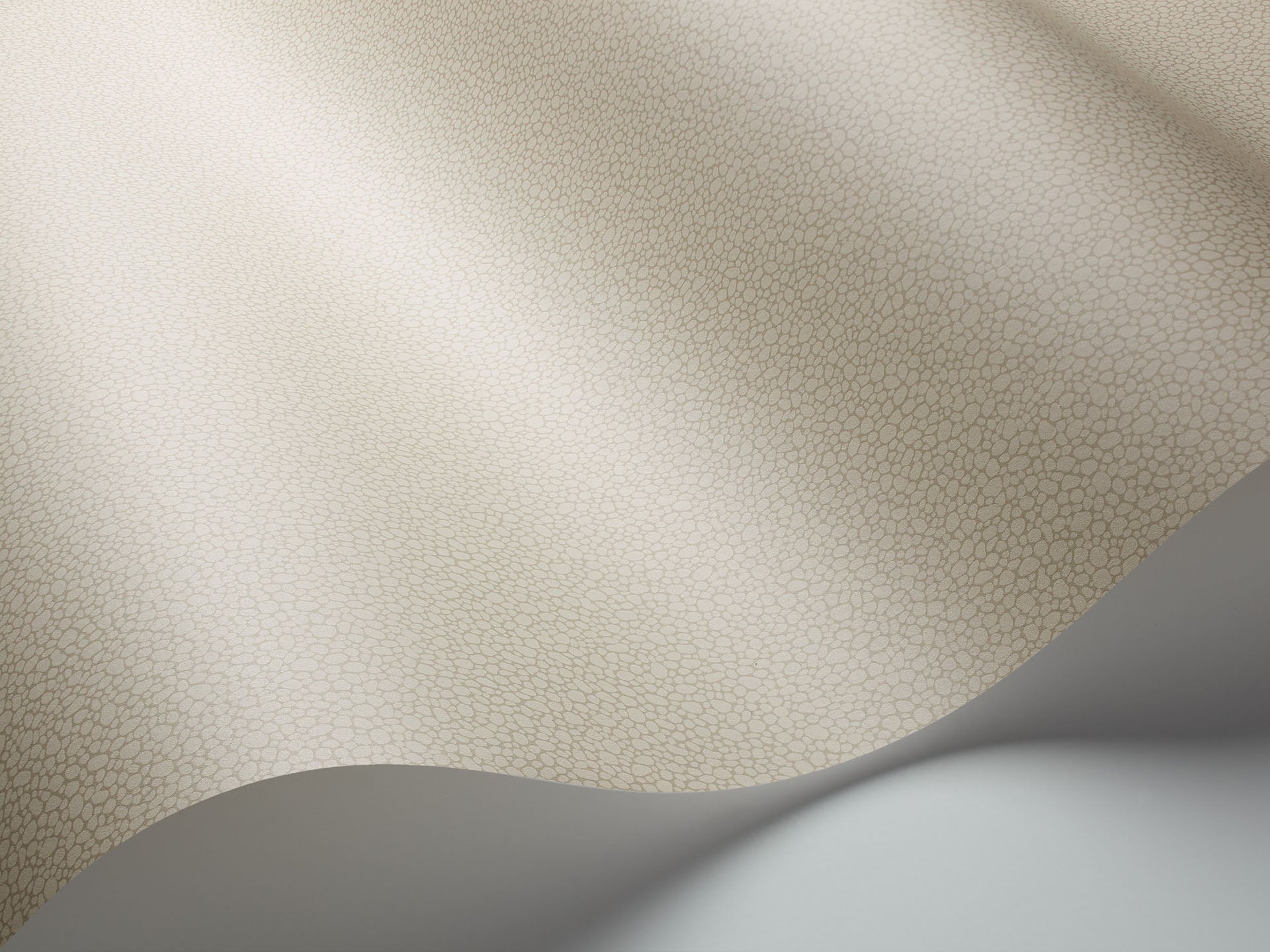 Cole & Son Pebble - interior