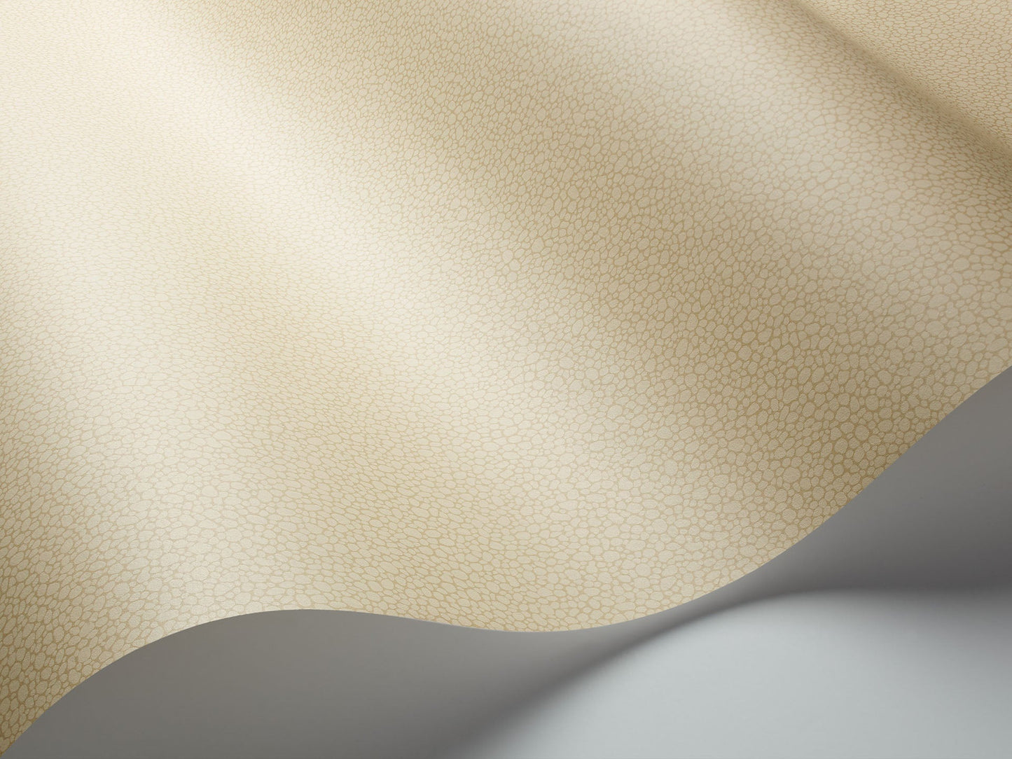 Cole & Son Pebble - interior