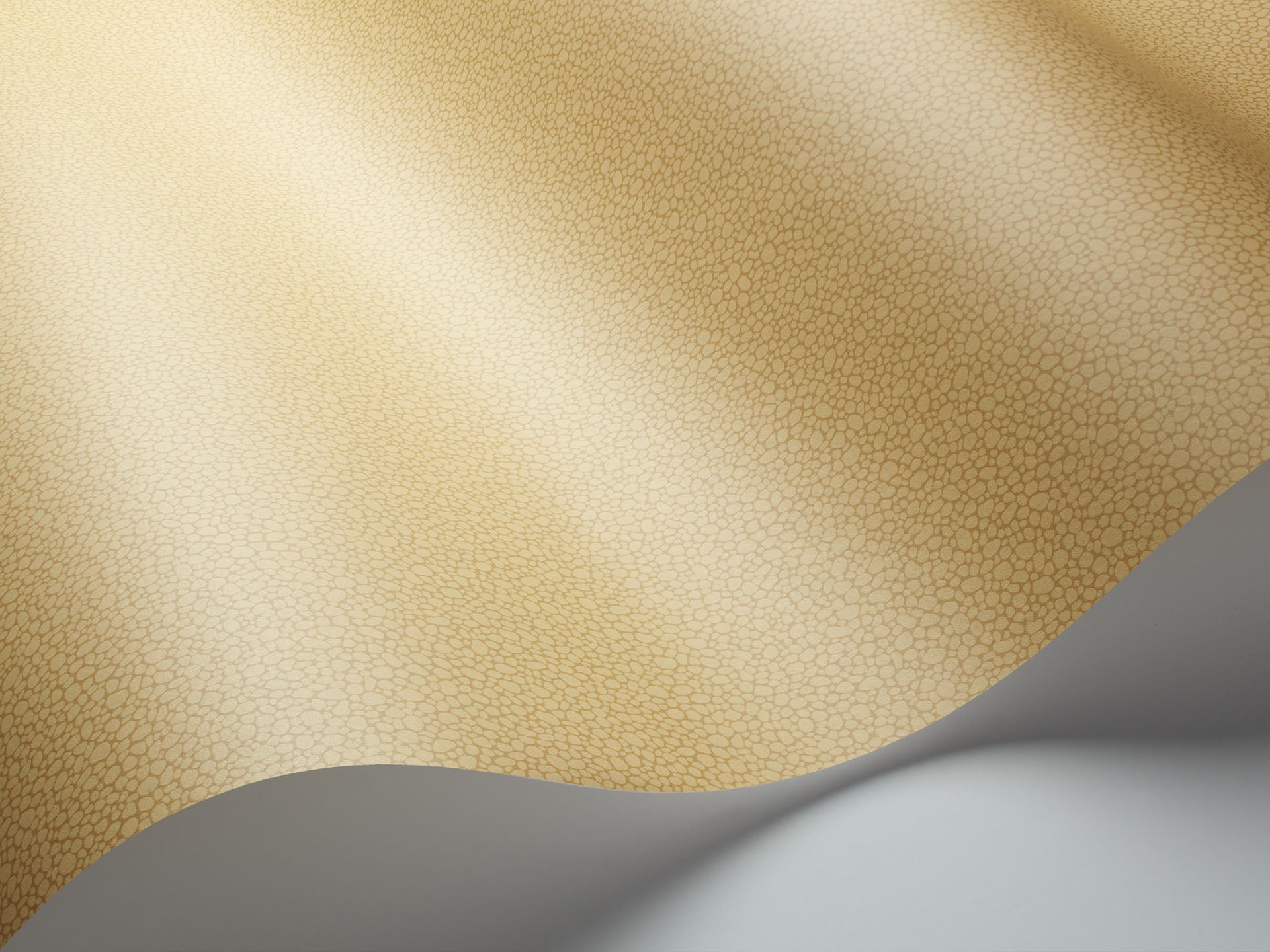 Cole & Son Pebble - interior