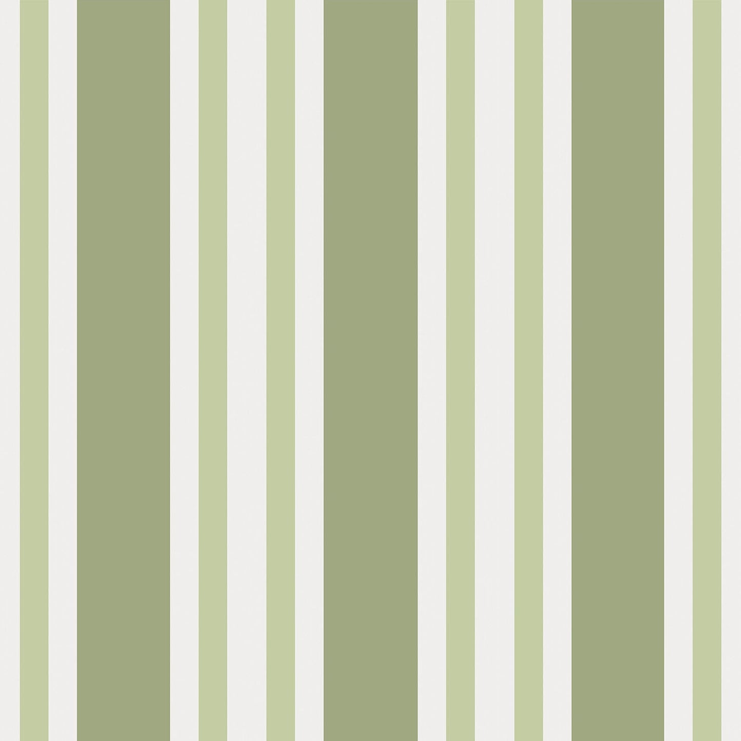 Cole & Son Polo Stripe - Olive Green