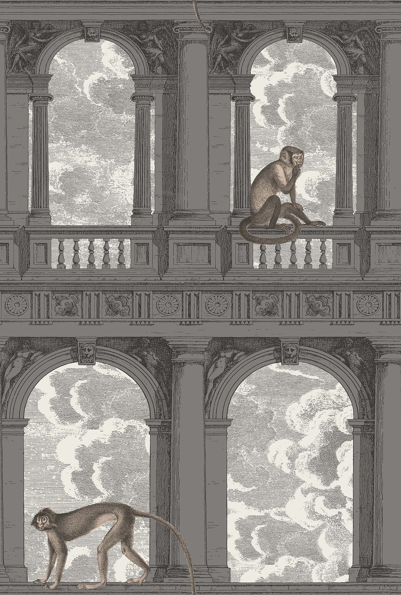 Cole & Son Procuratie con vista - Soot & Snow