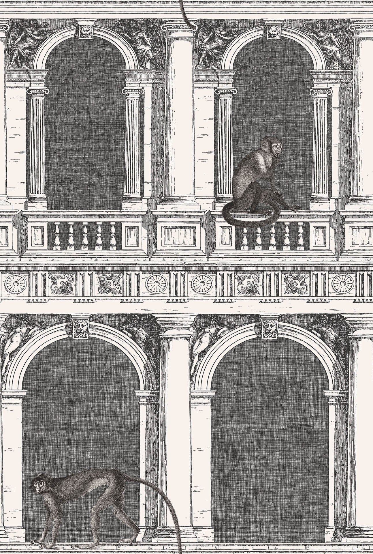 Cole & Son Procuratie e Scimmie wallpaper - Black & White