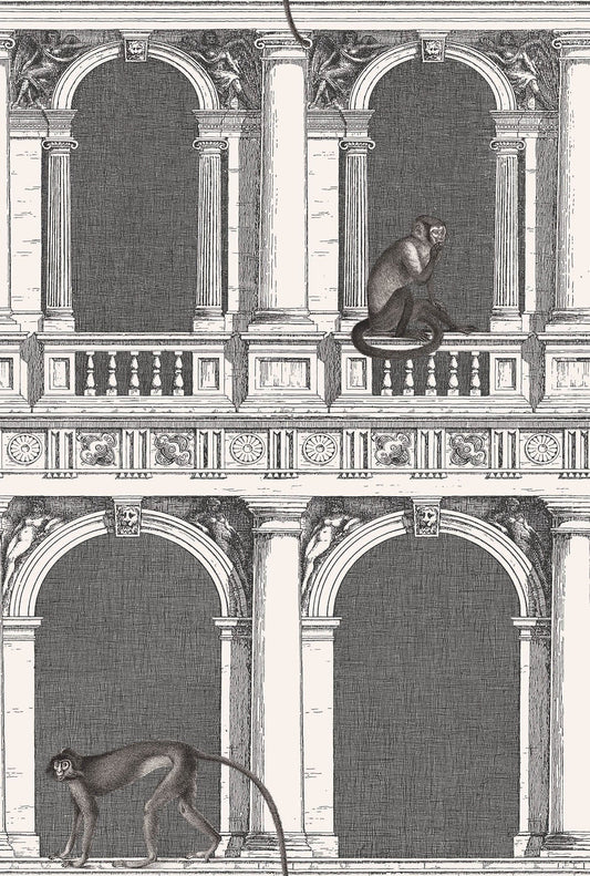 Cole & Son Procuratie e Scimmie wallpaper - Black & White