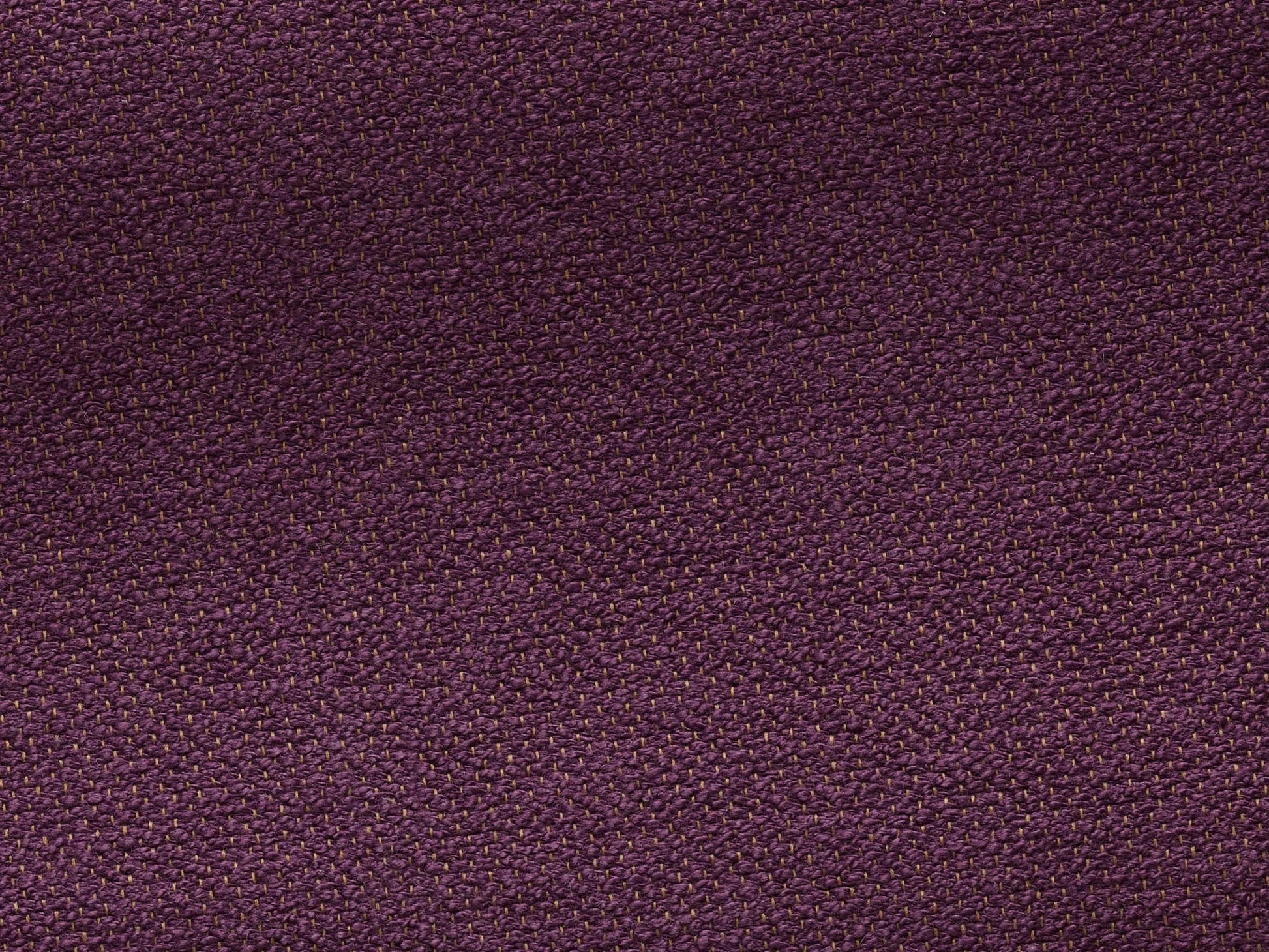 Pierre Frey Toile De Tours - Bouclette - Prune