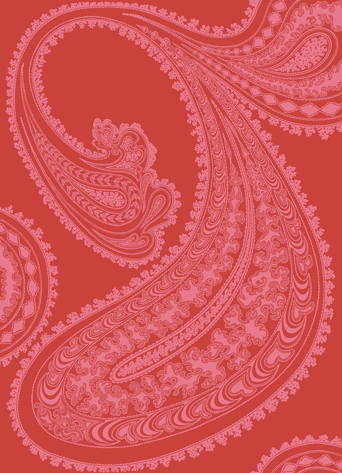 Cole & Son Rajapur - Fuchsia on Rouge