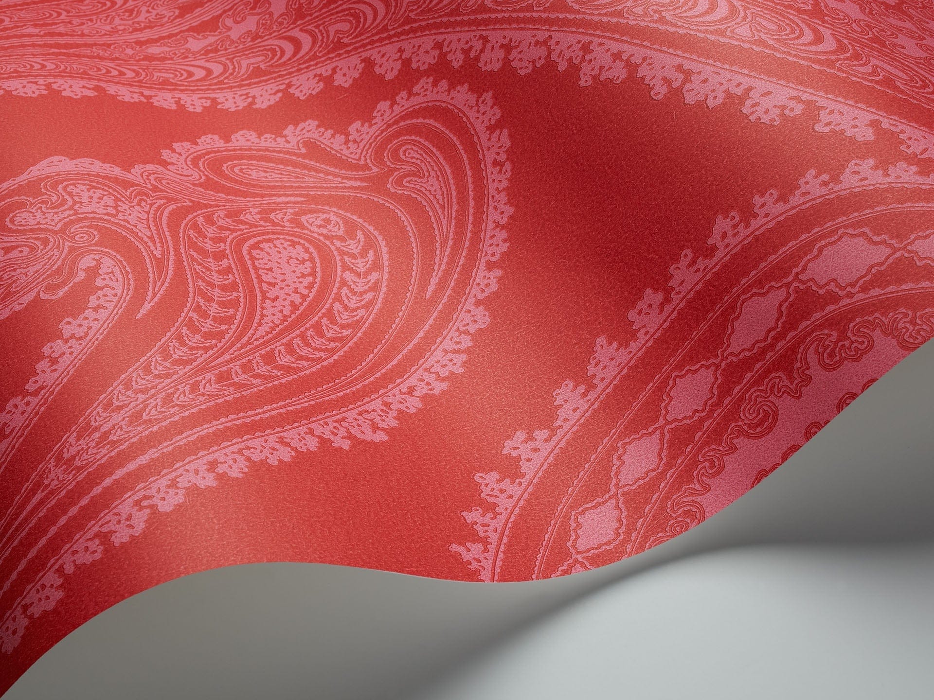 Cole & Son Rajapur - interior