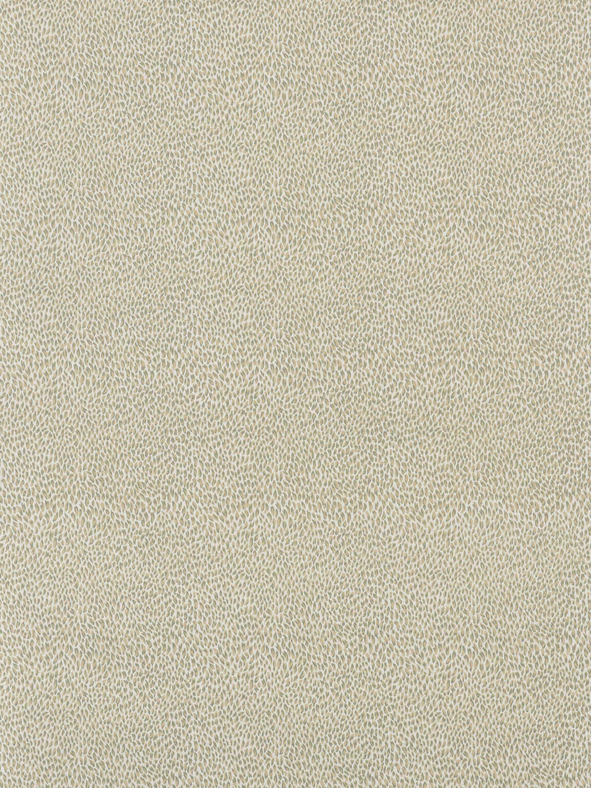 Pierre Frey Plumettes - Sable