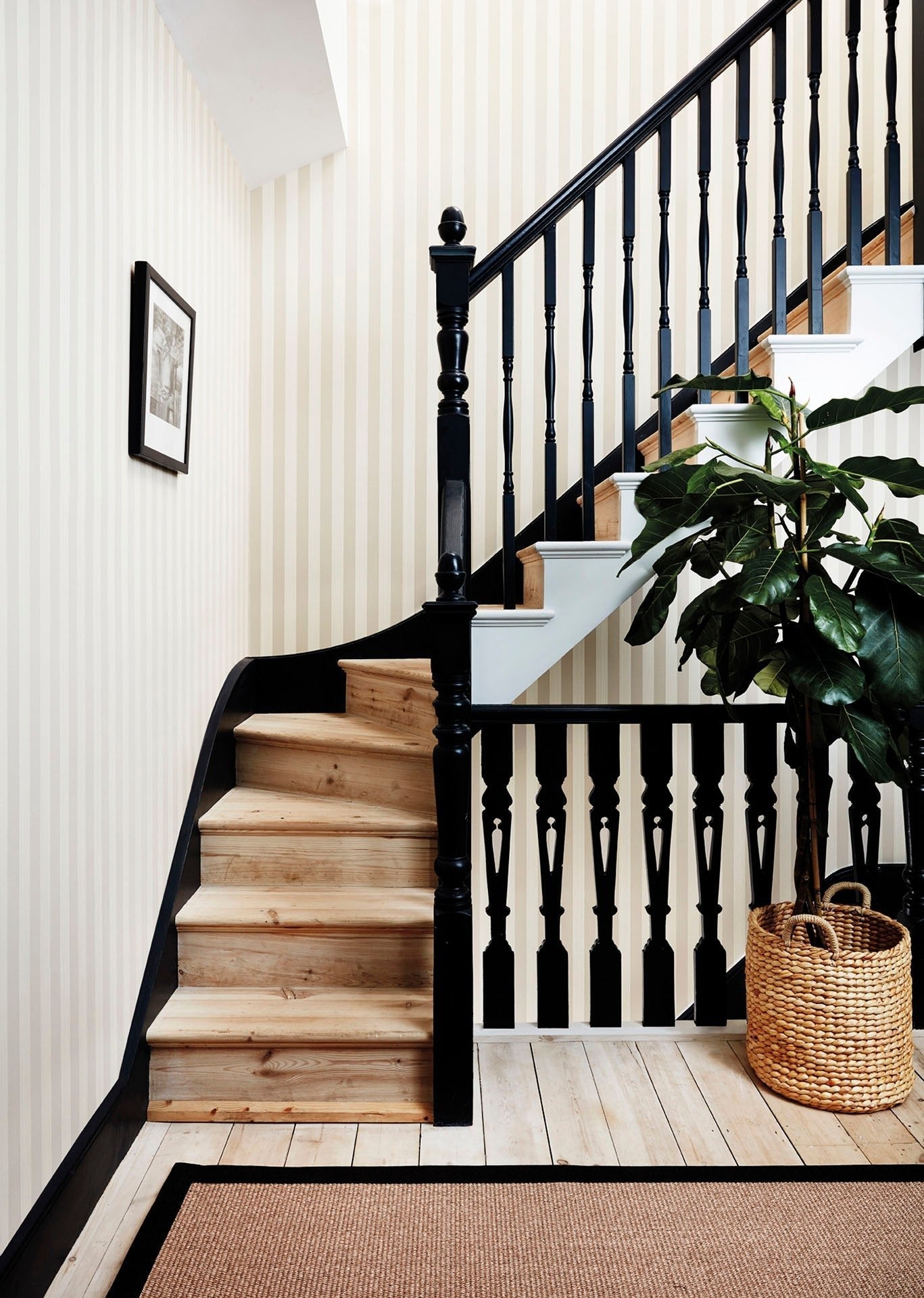 Cole & Son Regatta Stripe - interior
