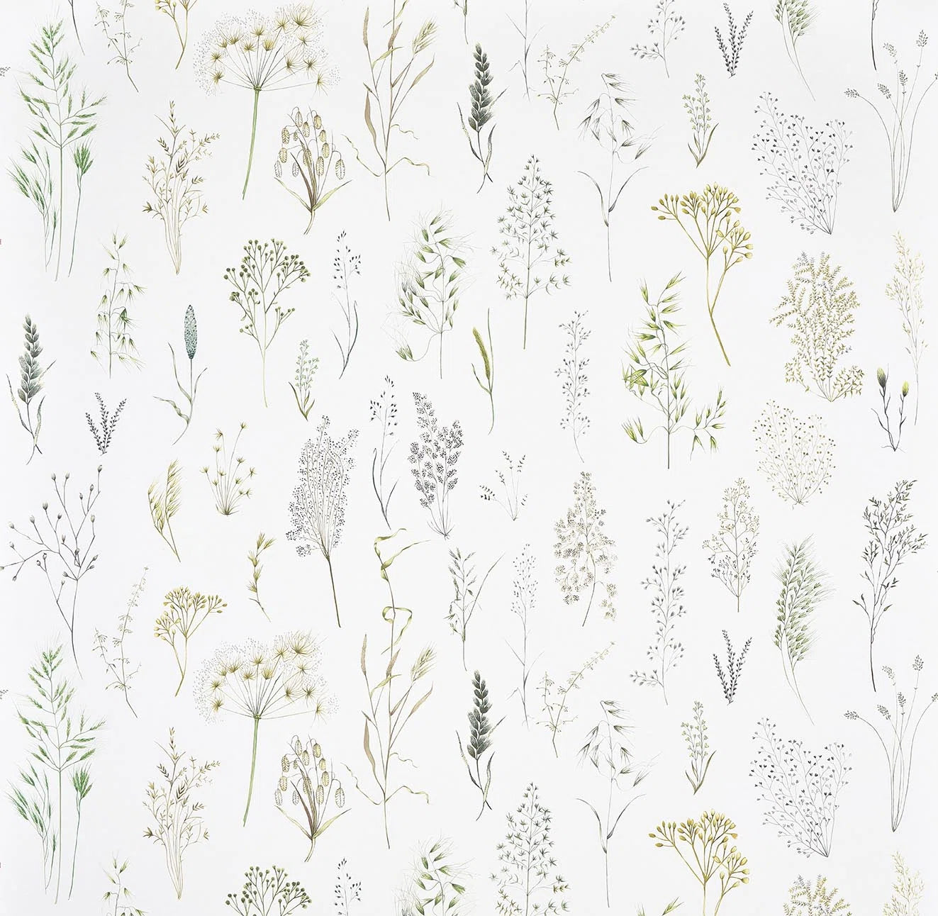 Pierre Frey Les Graminees - Herbe
