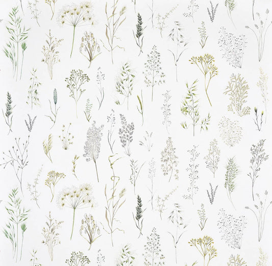 Pierre Frey Les Graminees - Herbe