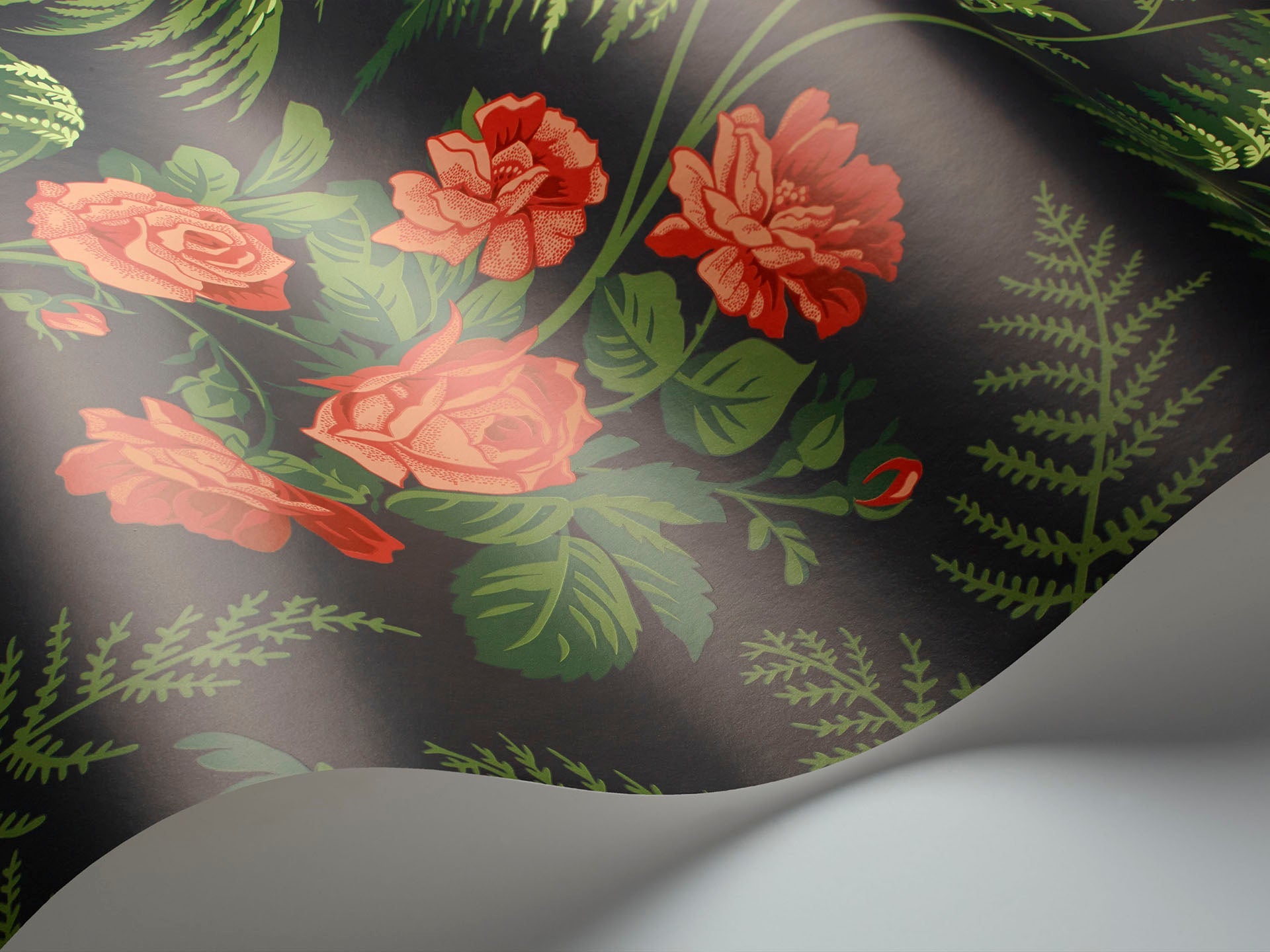 Cole & Son Rose - interior