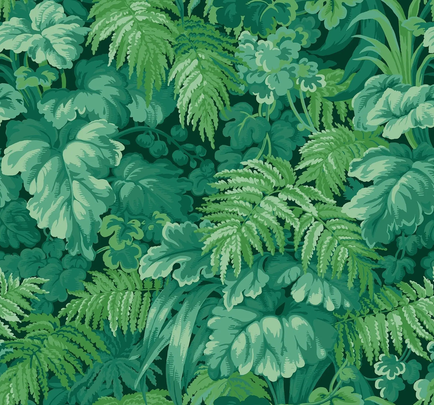 Cole & Son Royal Fernery - Forest Green