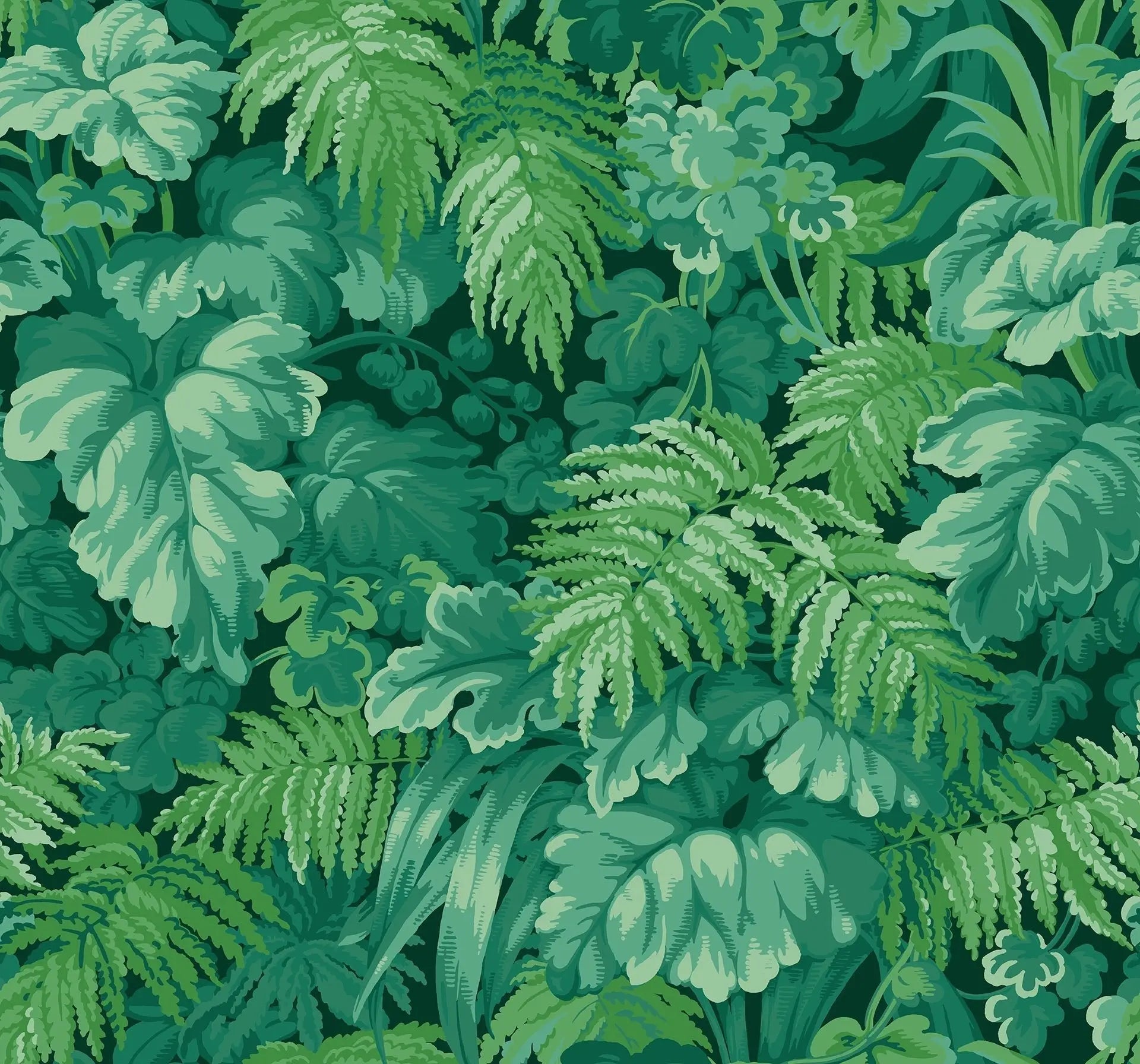 Cole & Son Royal Fernery - Forest Green