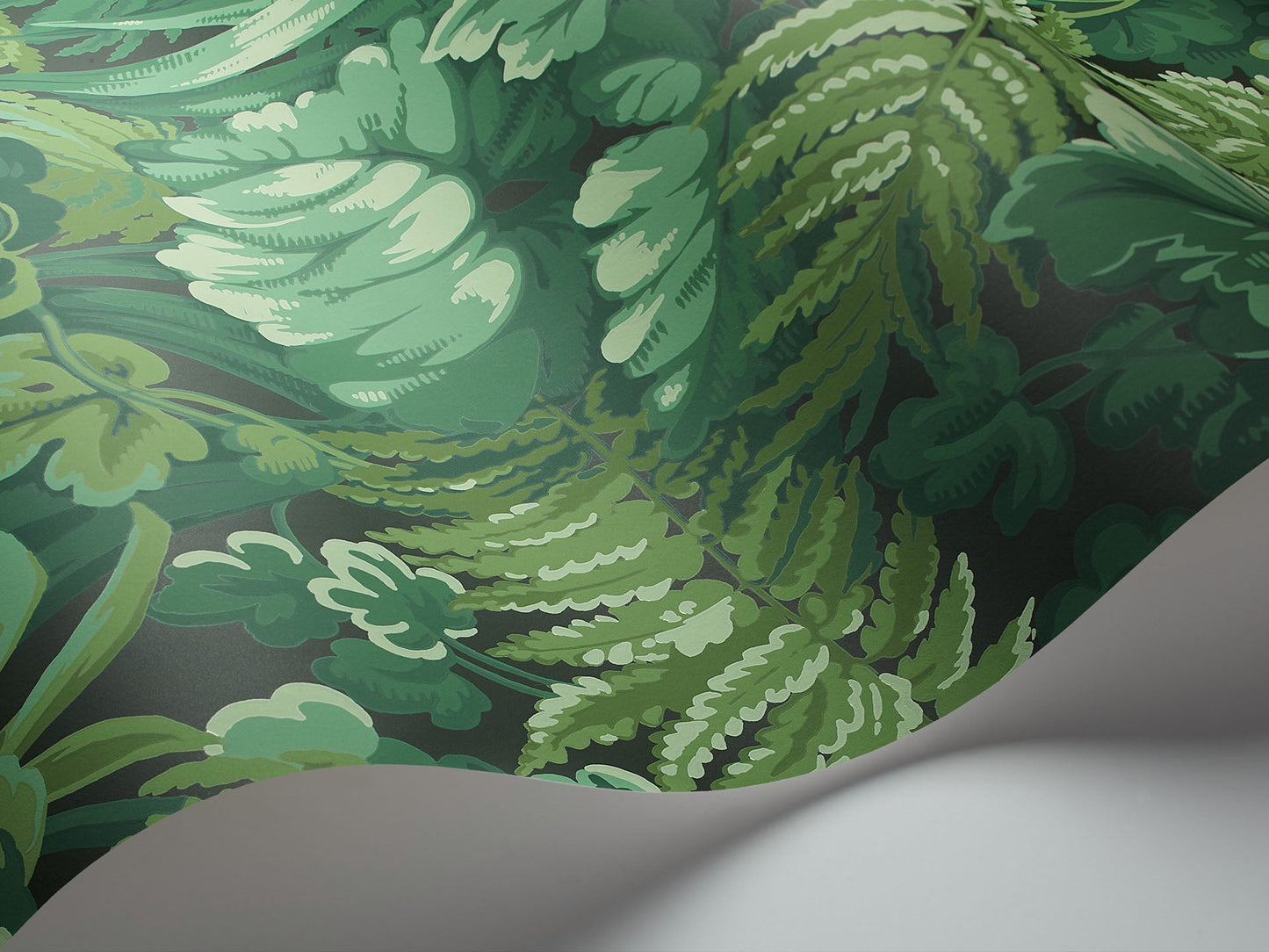 Cole & Son Royal Fernery - interior