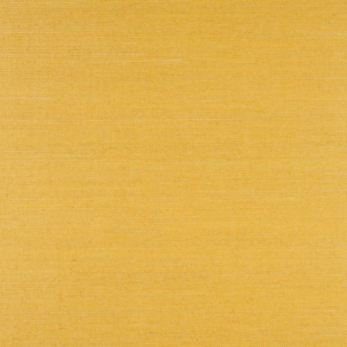 Sisal - SID125