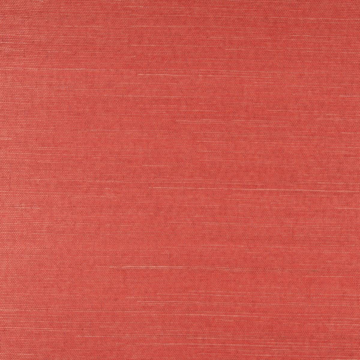 Sisal - SID131